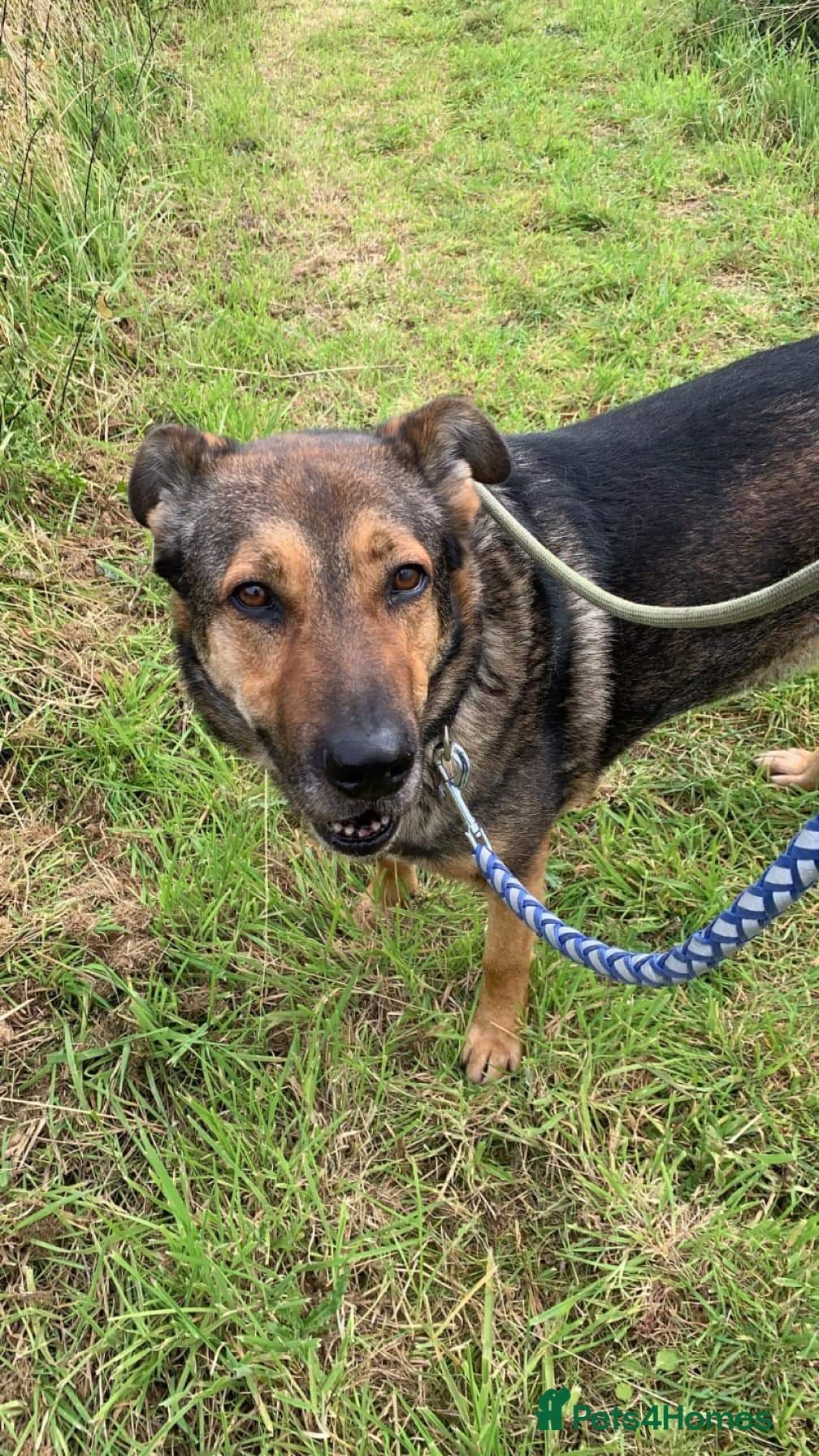 Meet Kobi, currently residing in Cheshire photo 7