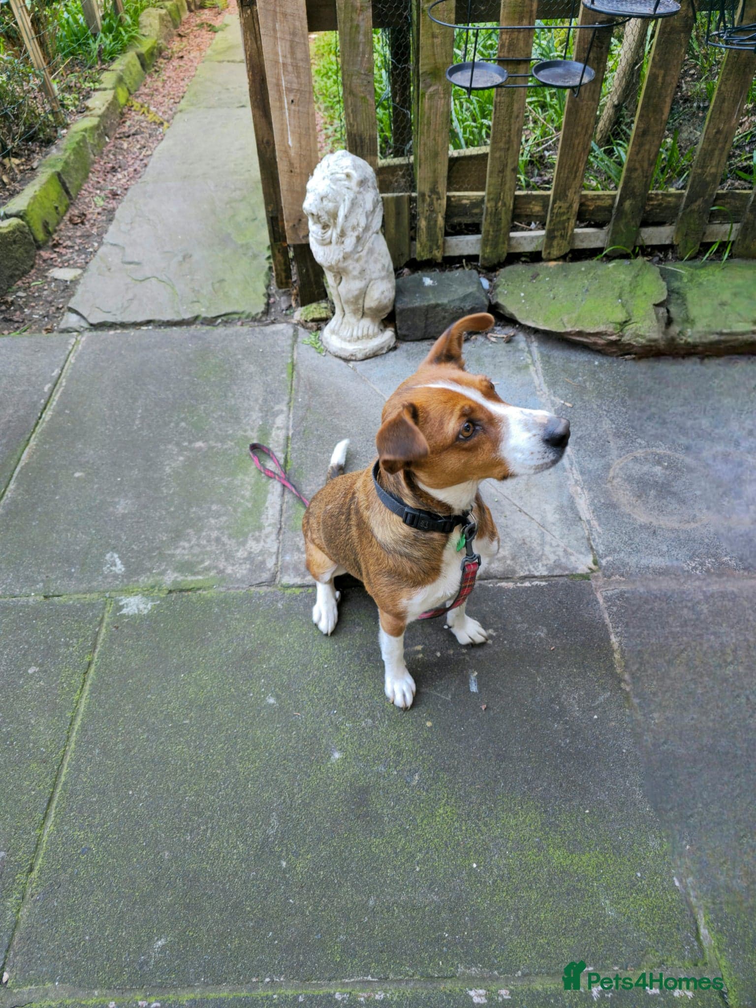 Affectionate Milli photo 3