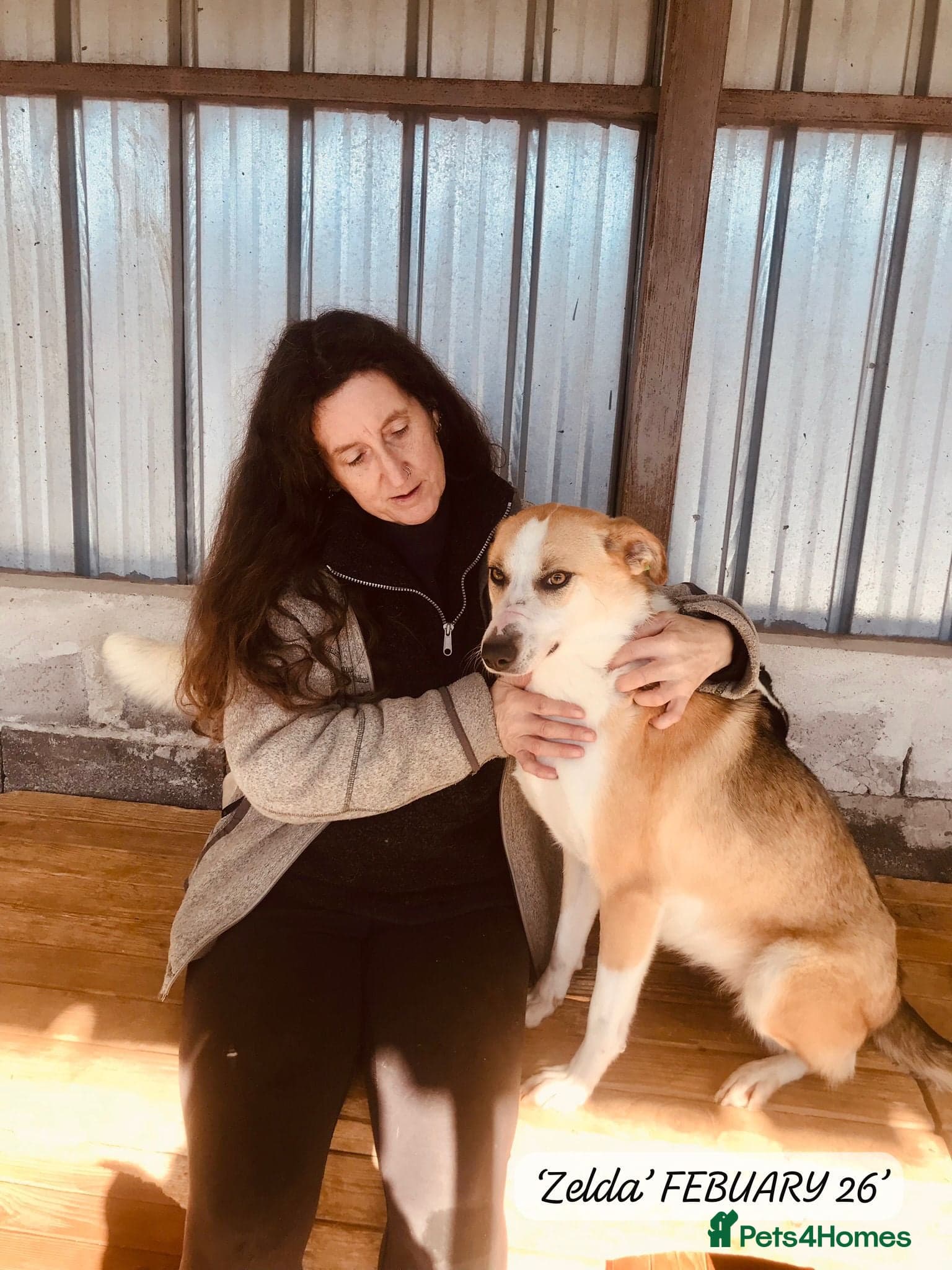 Zelda, 3 yrs old approx. photo 16