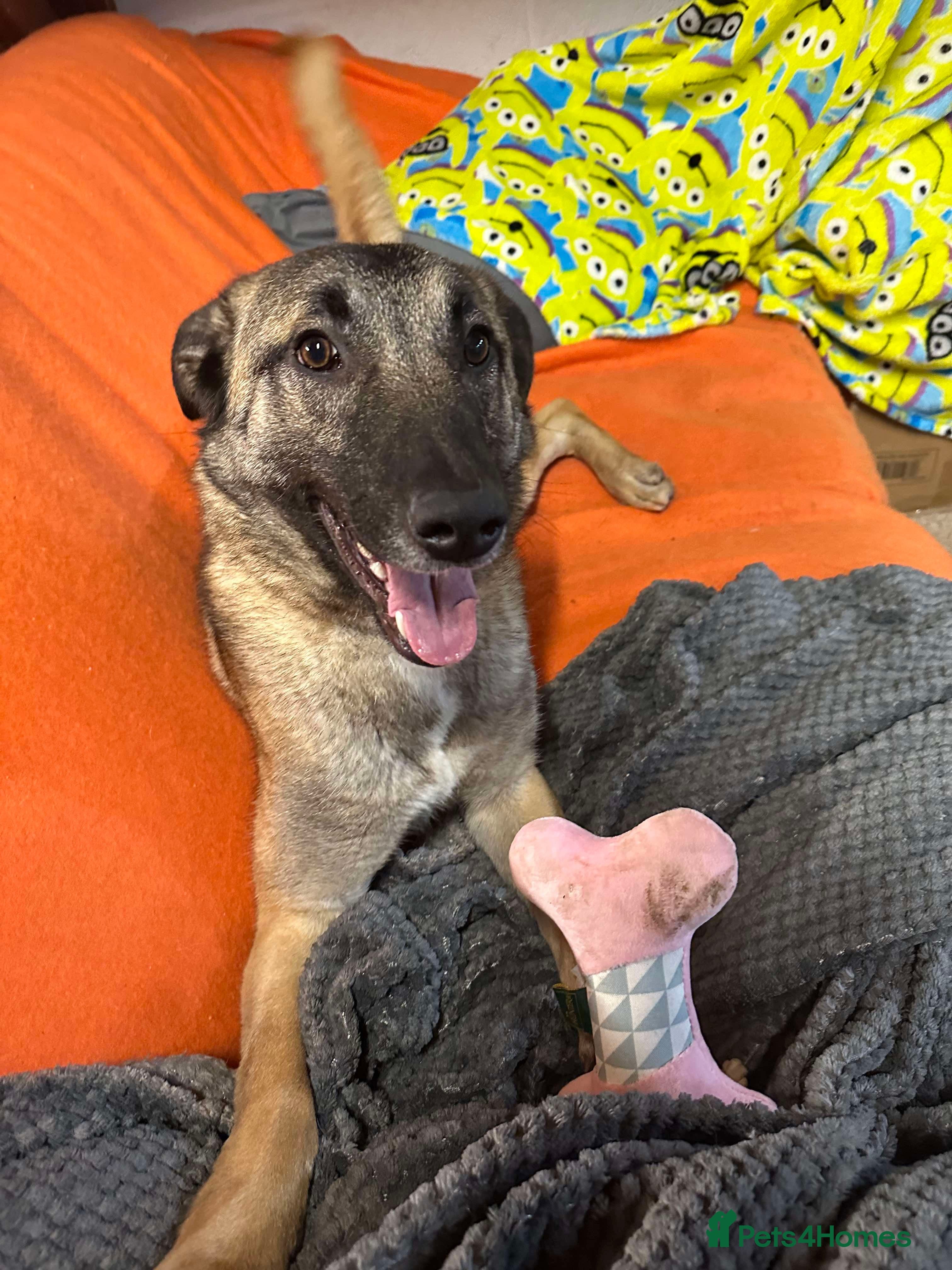 Meet Vera, currently residing in Cheshire photo 34