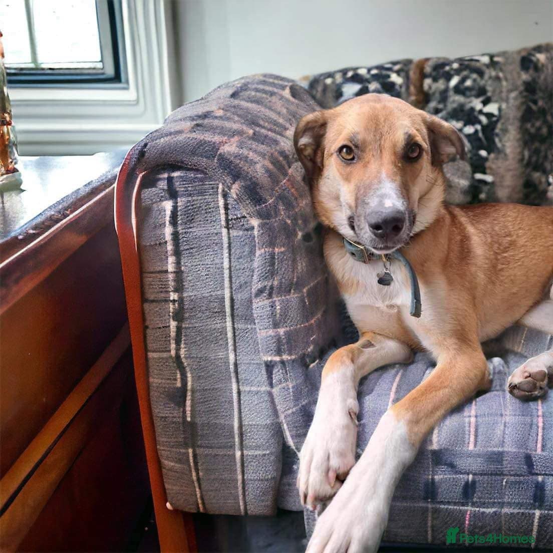 Sara - Norwich Norfolk photo 18