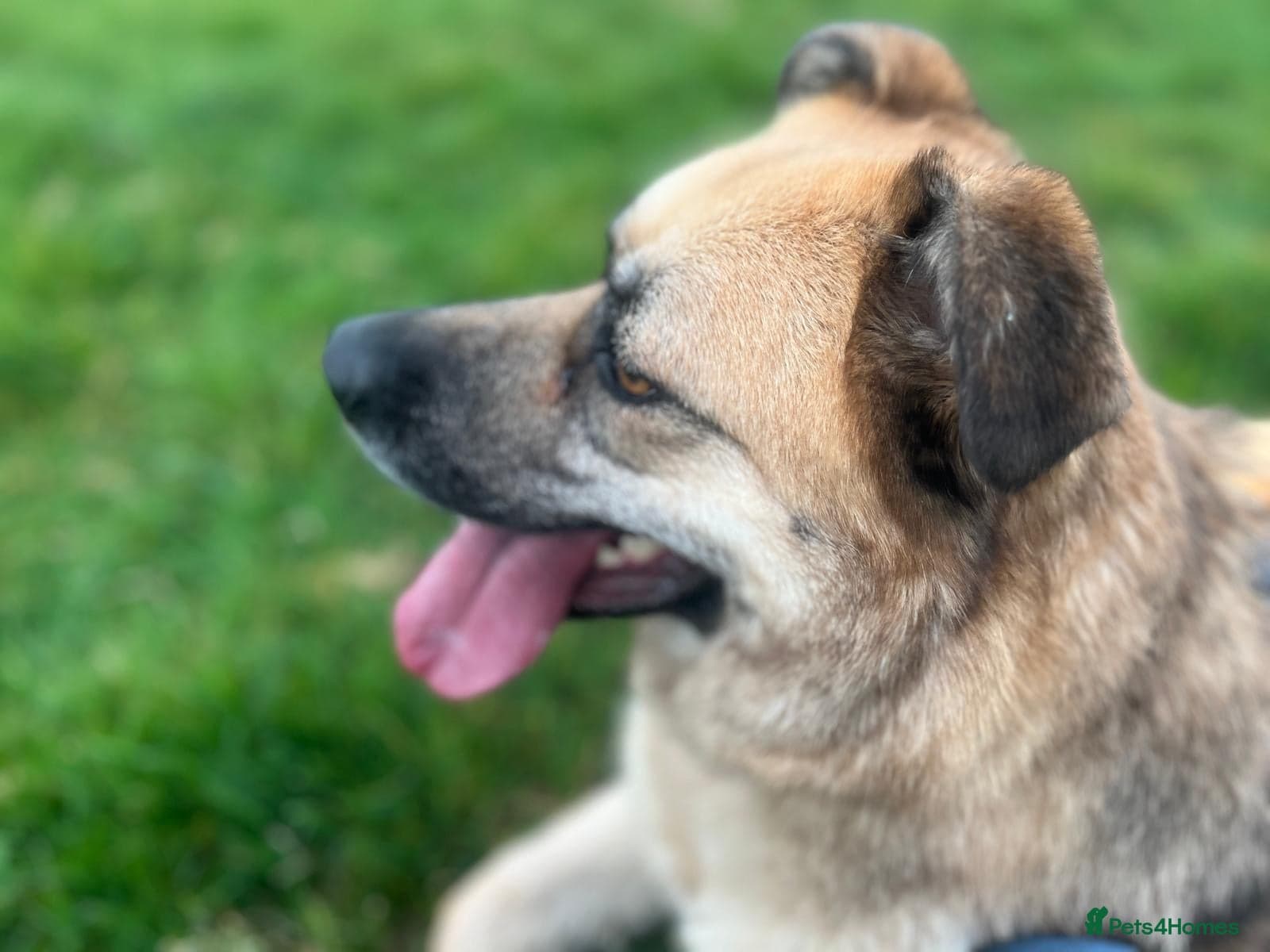 Molly 3.5 years friendly girl photo 4