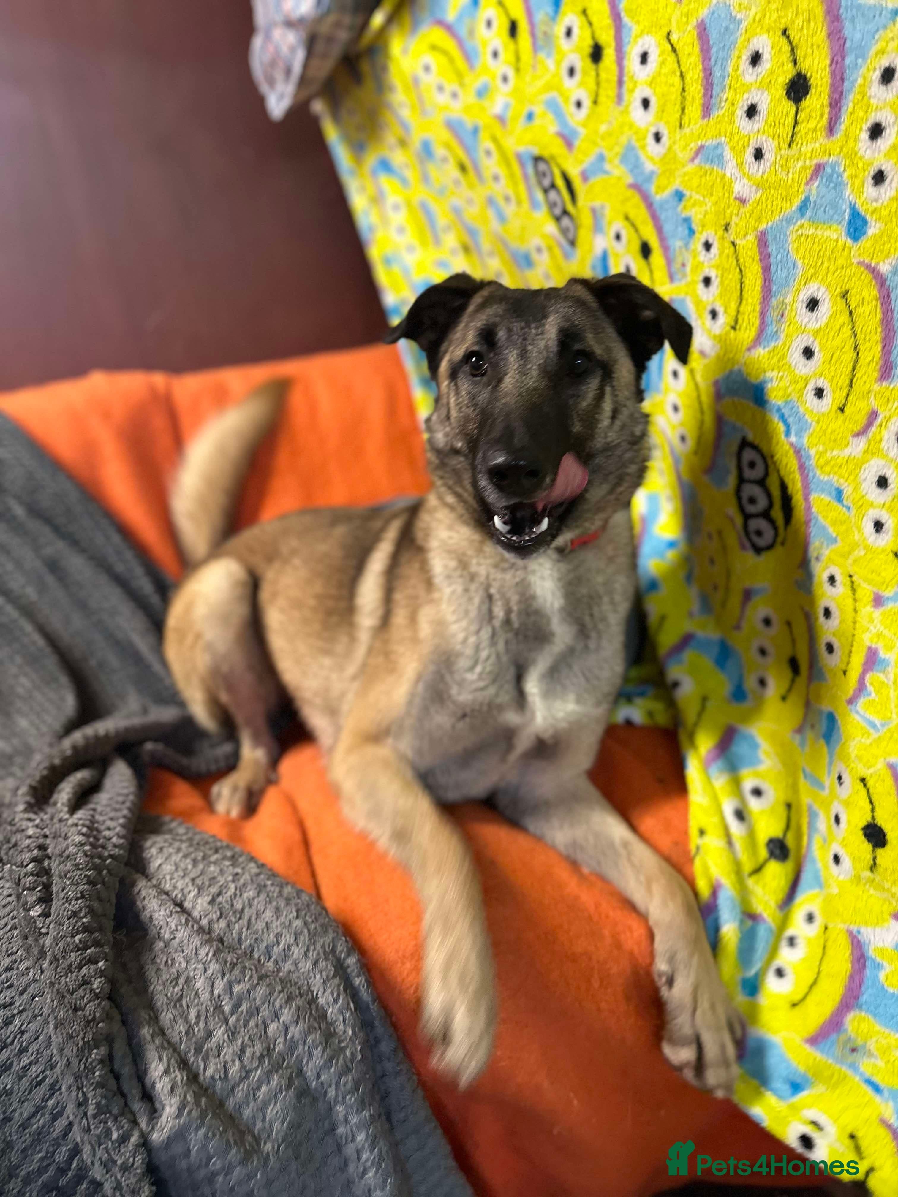 Meet Vera, currently residing in Cheshire photo 18