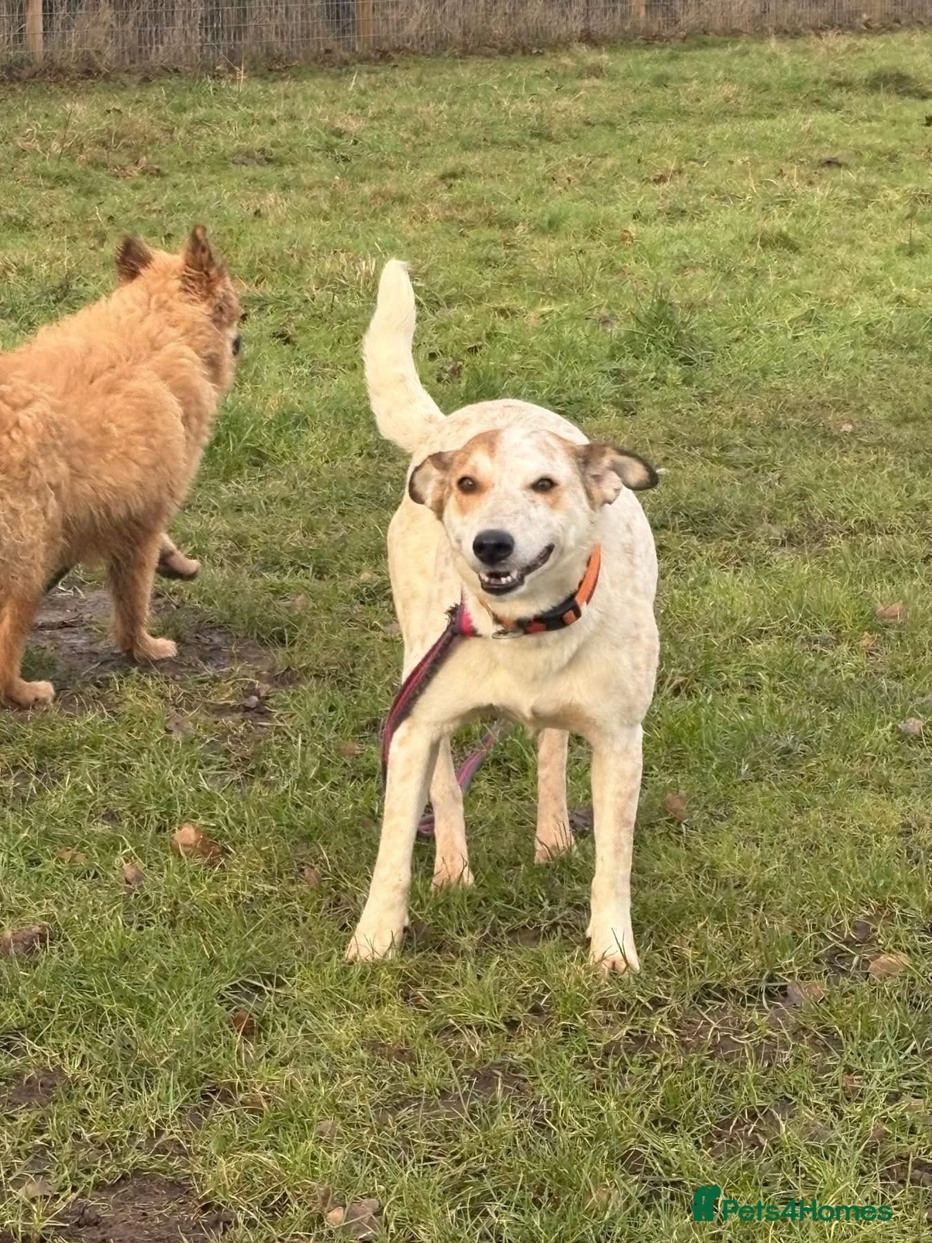 Trinity - Norwich Norfolk photo 18