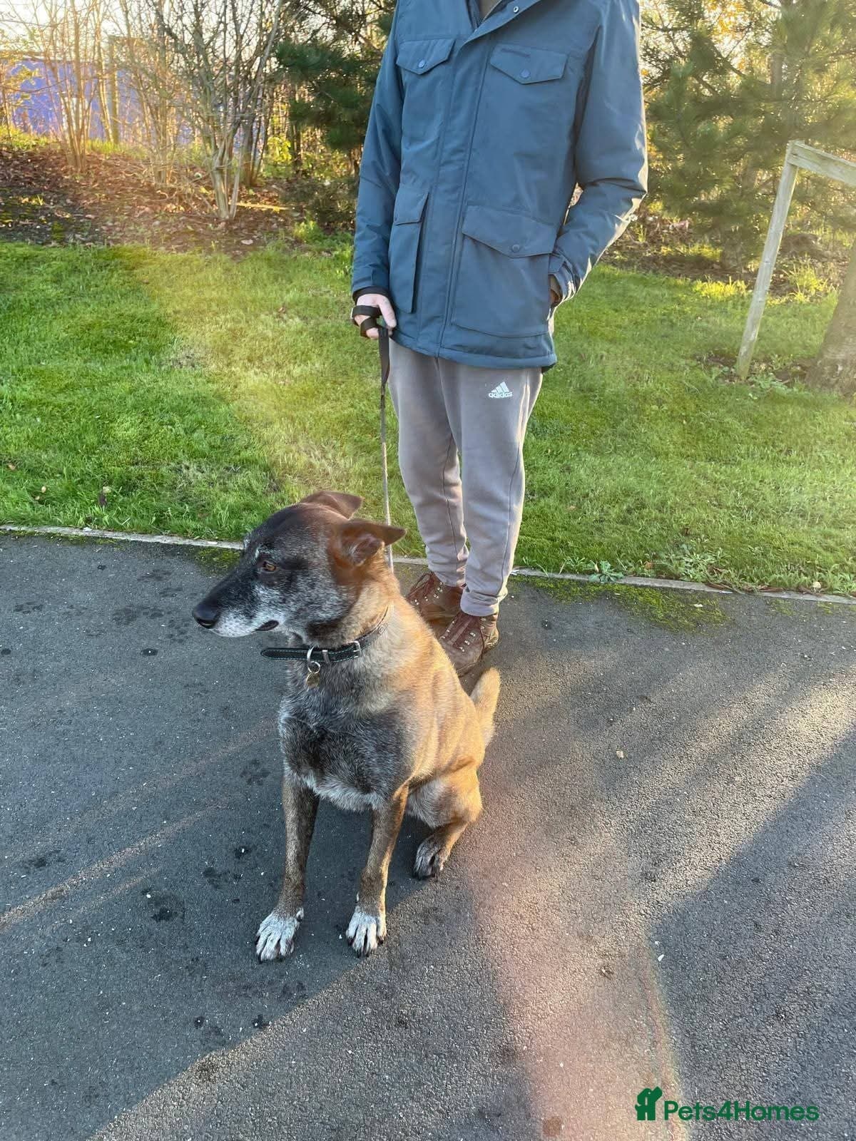 Meet Sasha, currently residing in Merseyside photo 4