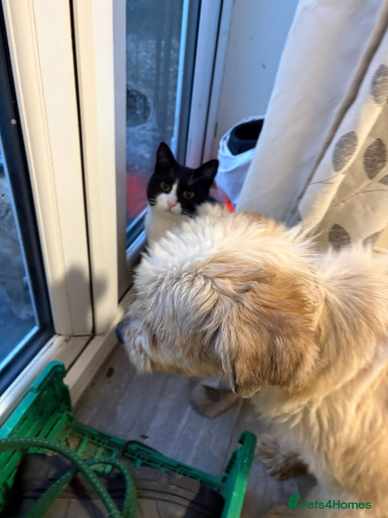 Kim - Norwich Norfolk photo 13