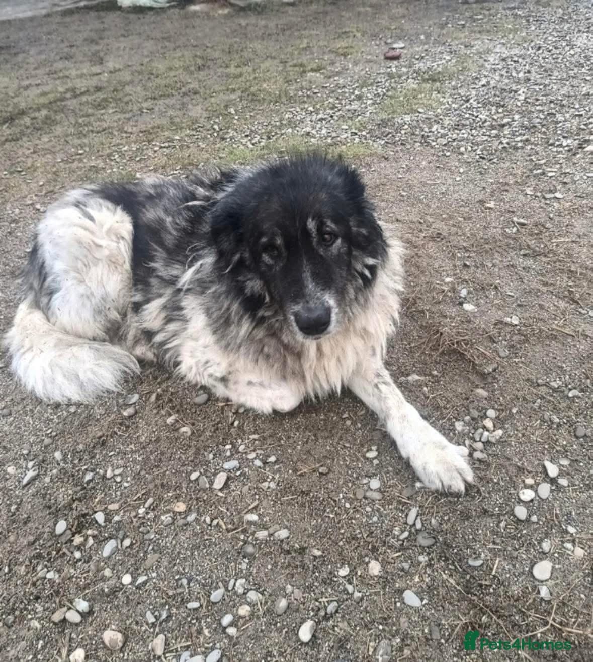 Freya - Norwich Norfolk photo 10