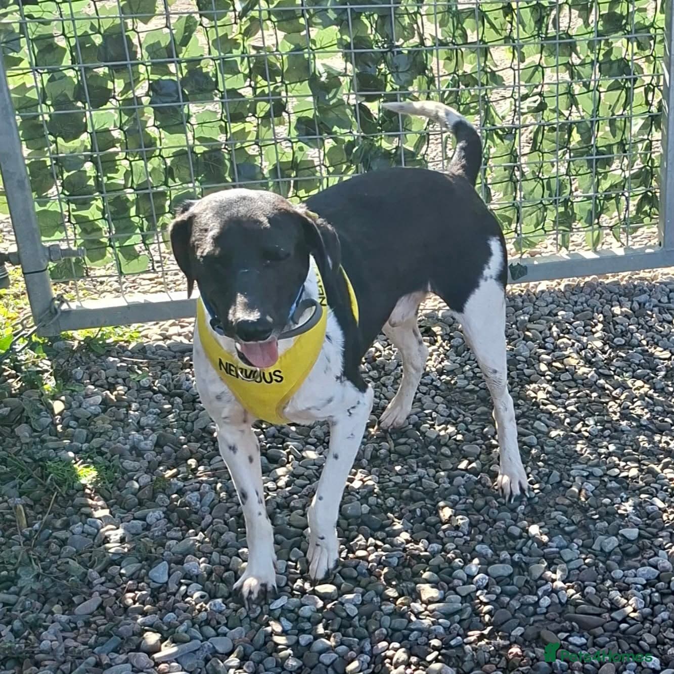 Stratos ! ❤️ a Cypriot sweetheart photo 6