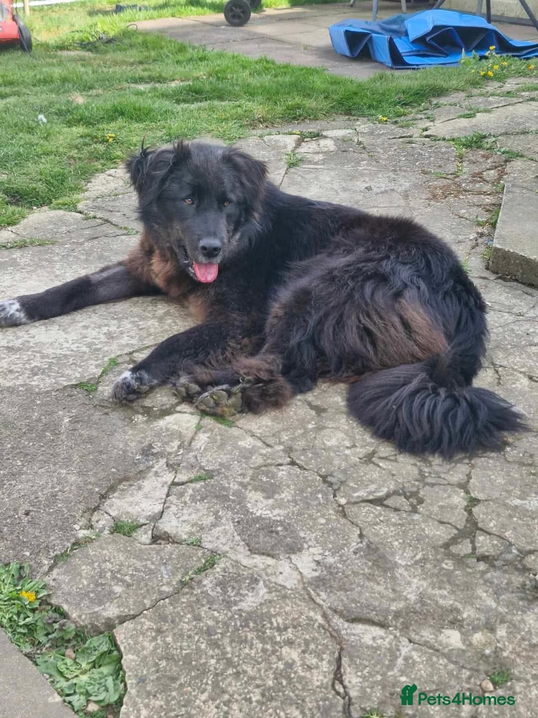 Meet Bryony, currently residing in Kent photo 2