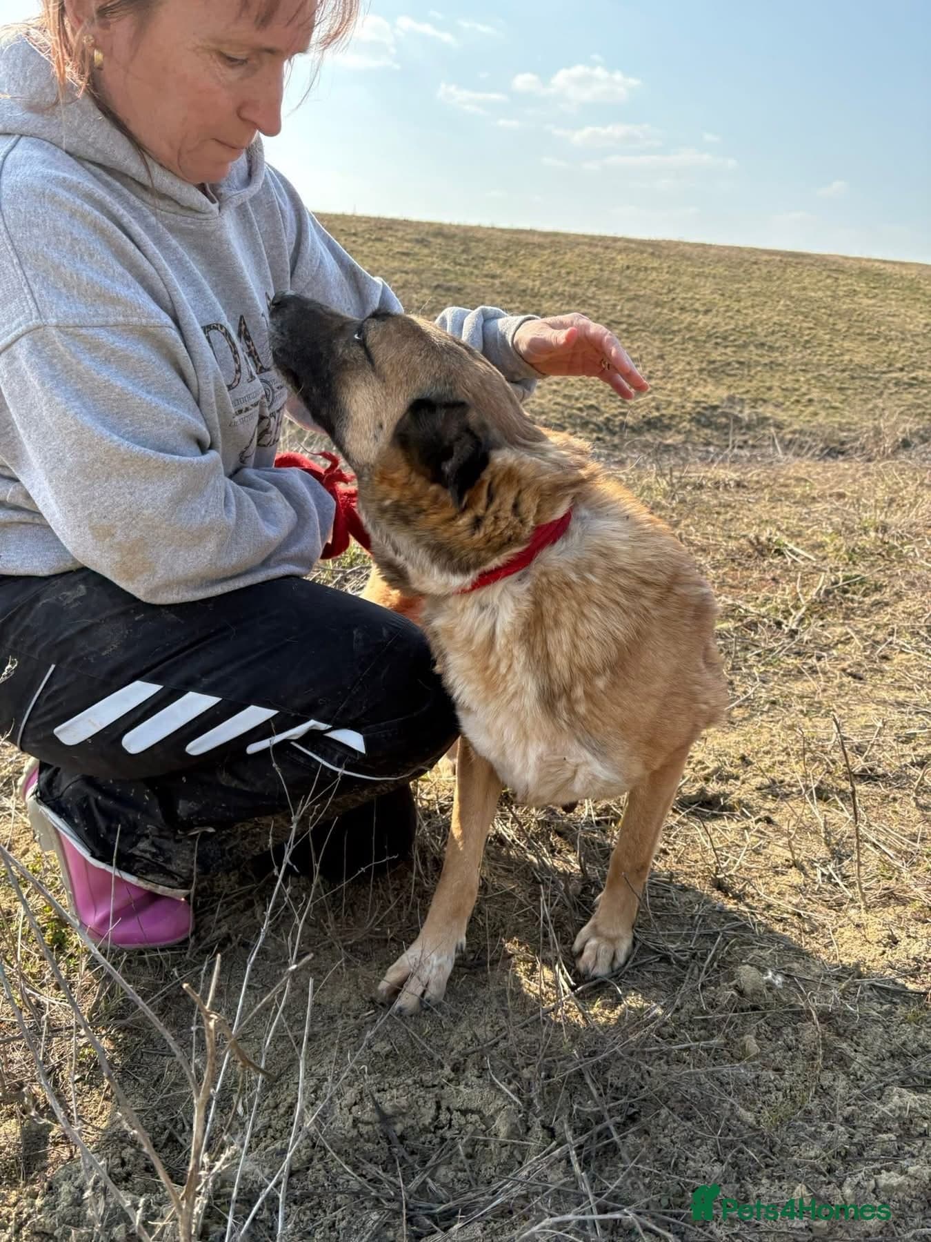 Thelma - Norwich Norfolk photo 11