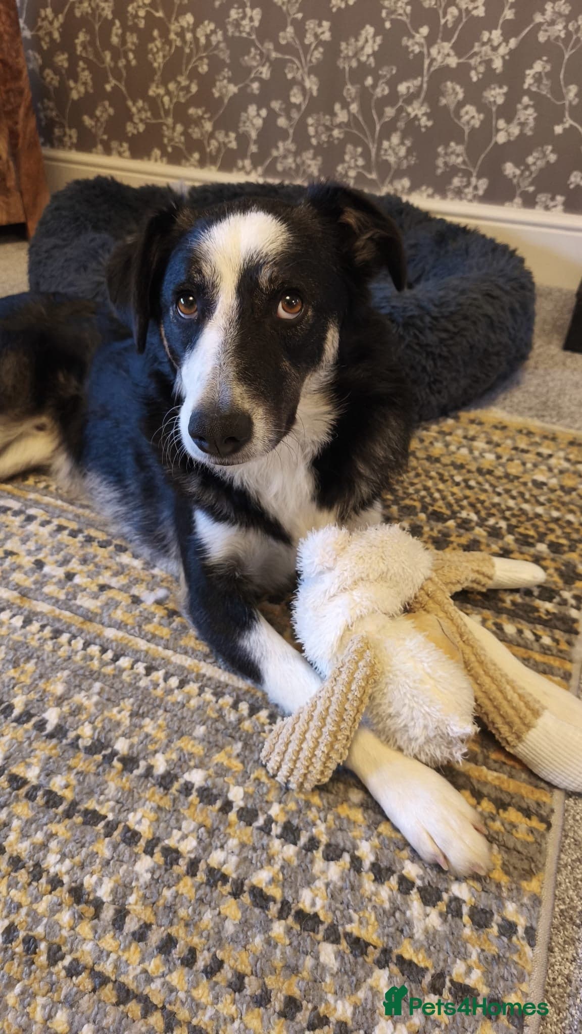 MAX๐ Let Down But Still Loving photo 6