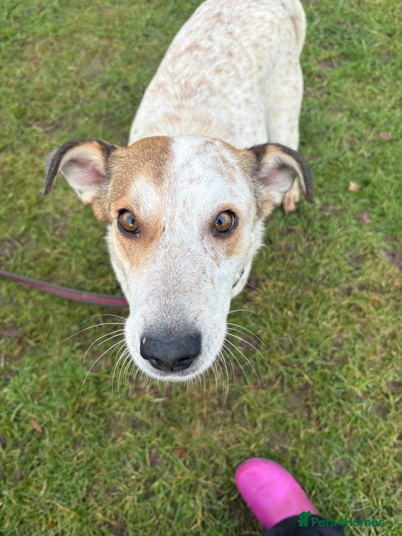 Trinity - Norwich Norfolk photo 4