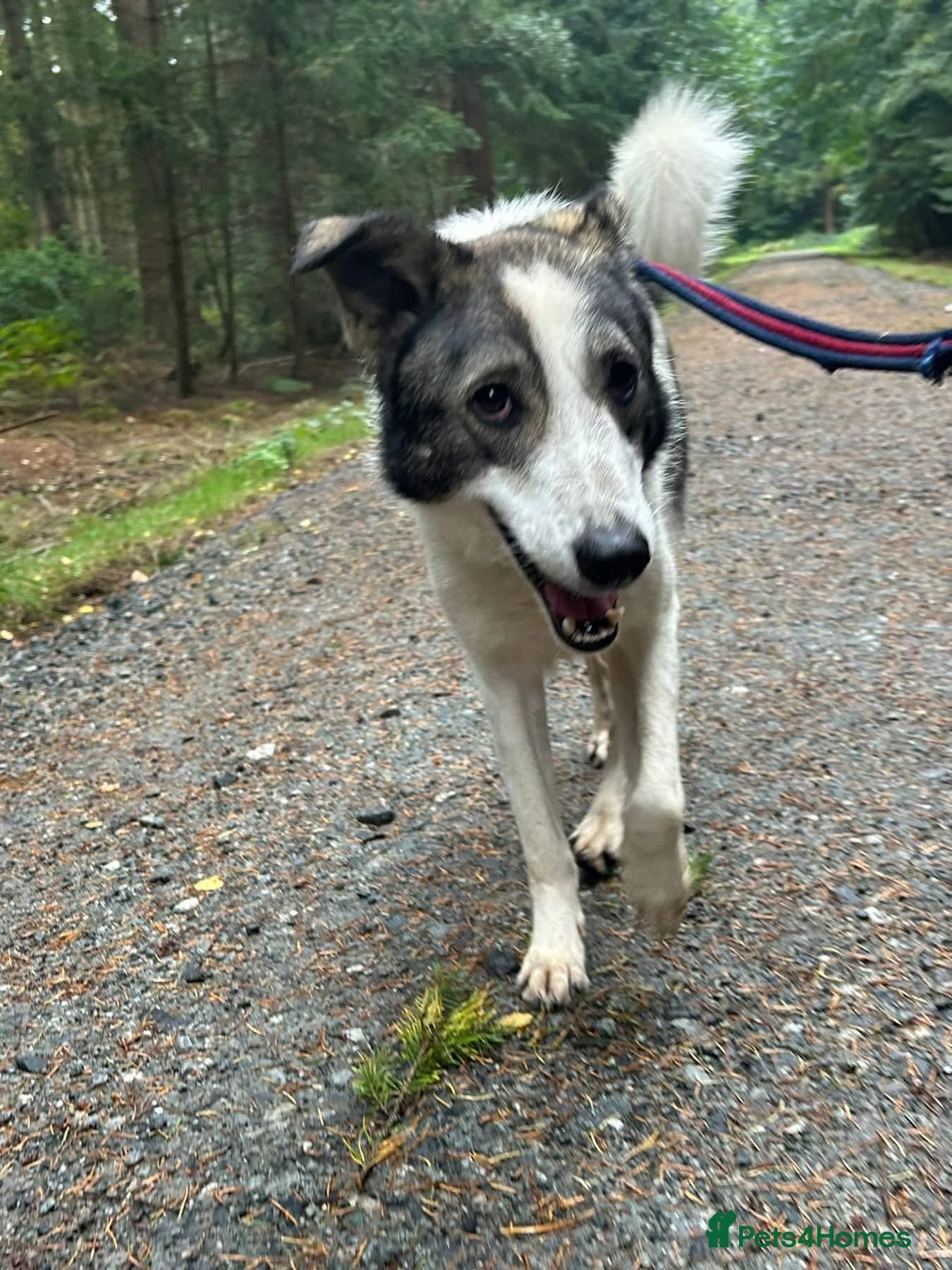 Matteo - Norwich Norfolk photo 21