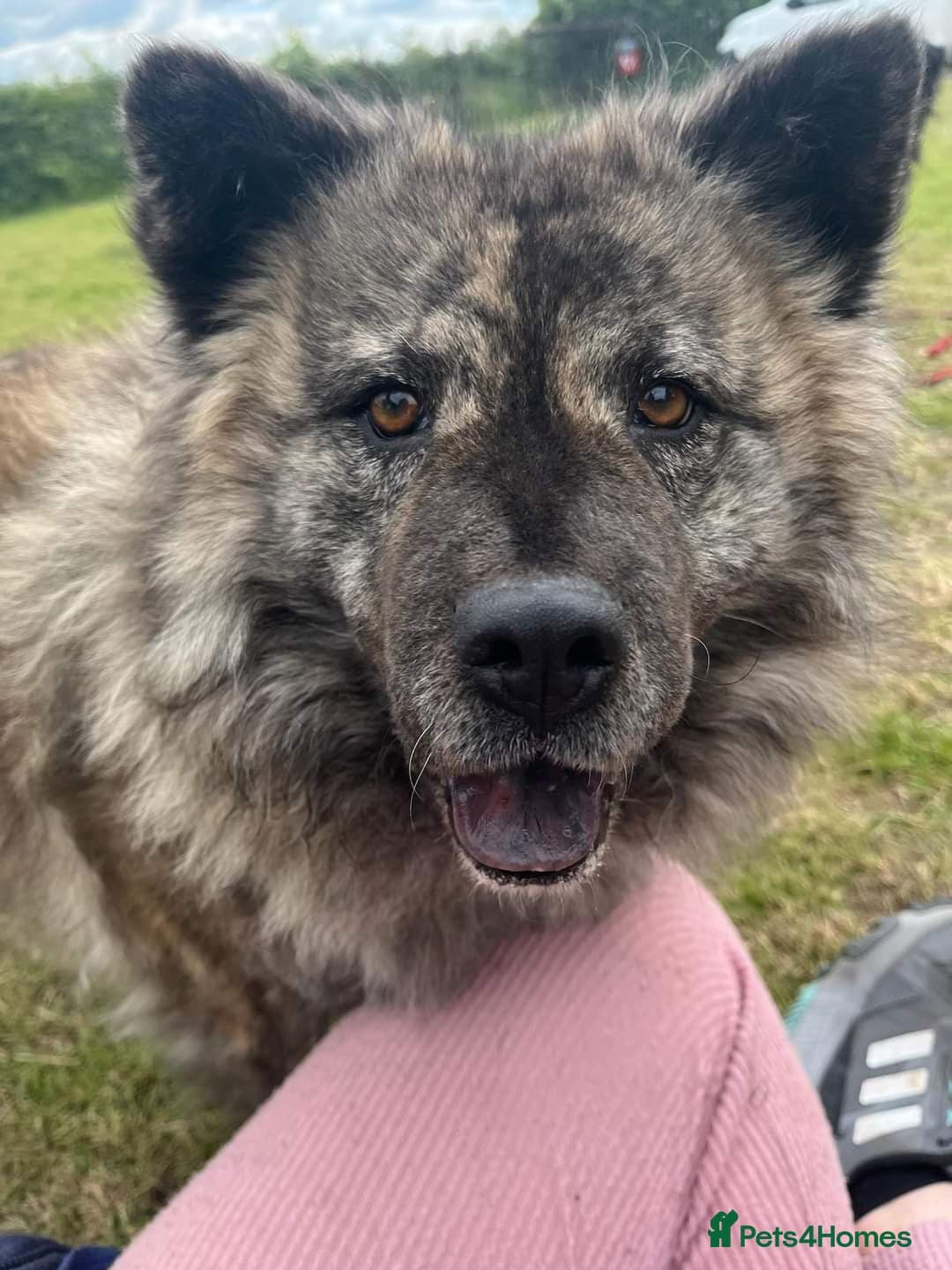 Luna Chow 💜 photo 2