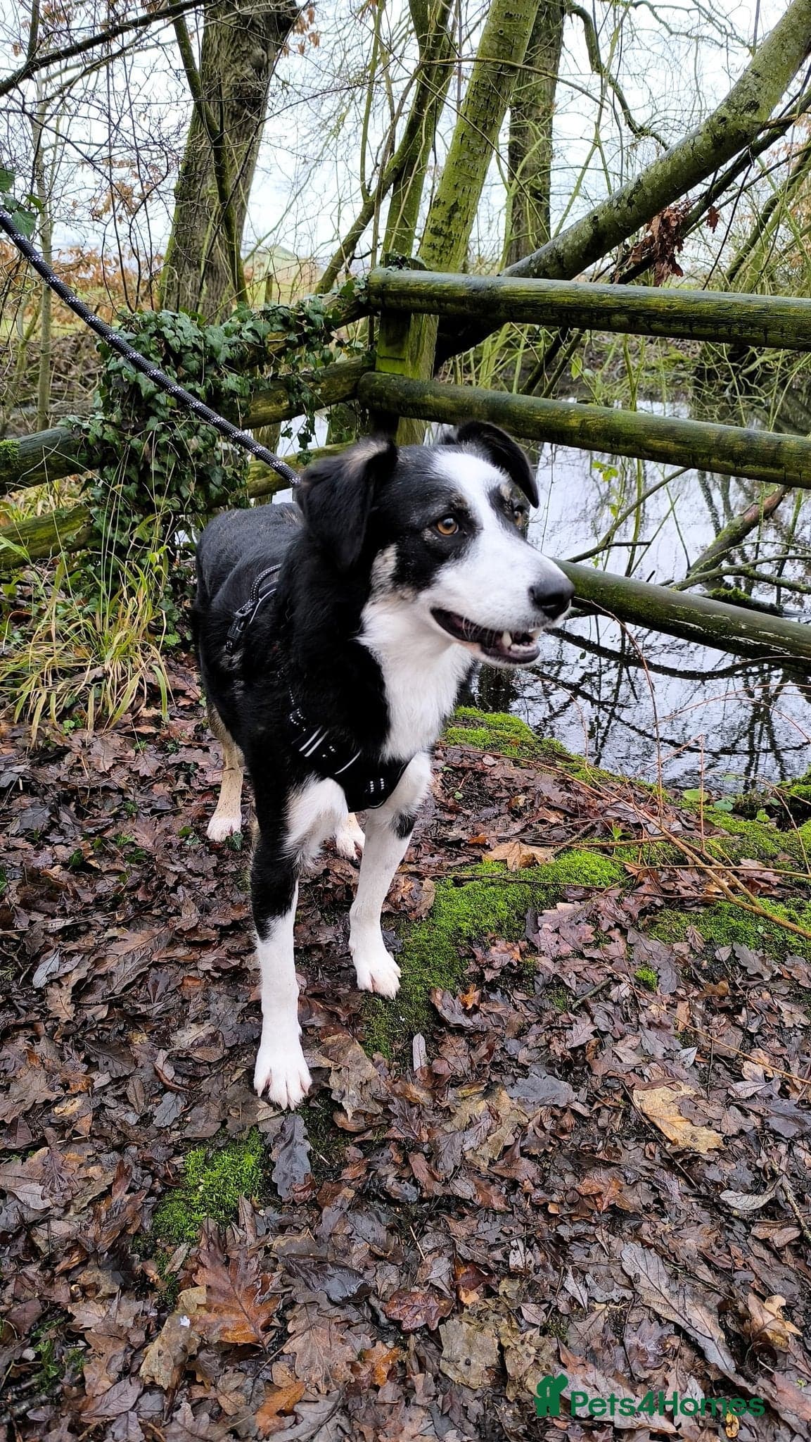 MAX๐ Let Down But Still Loving photo 7