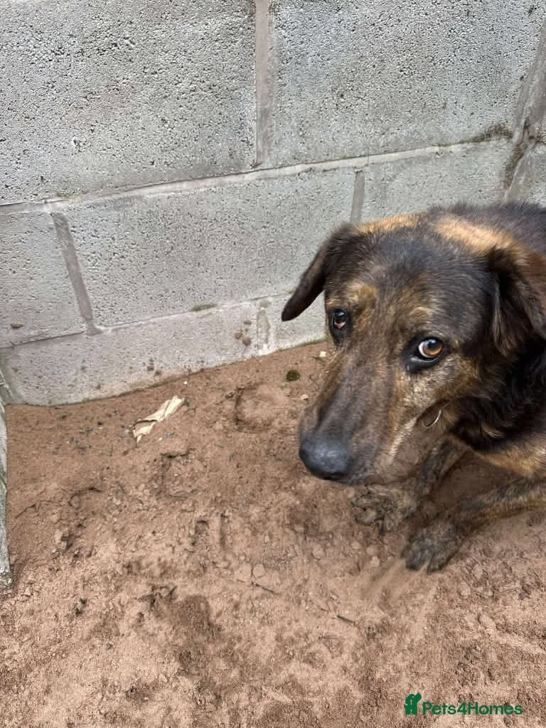 Meet Jess, currently residing in Essex photo 11