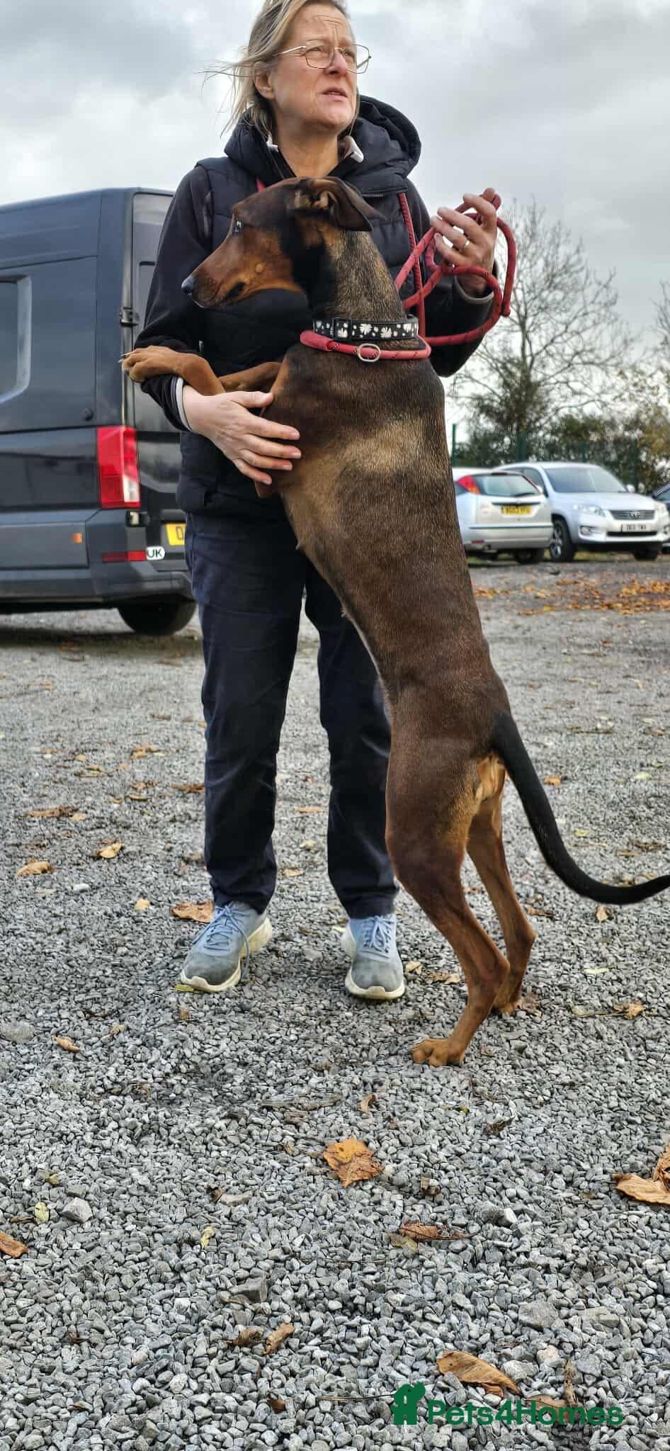 BONNIE ๐ Playful, Loving Girl photo 19