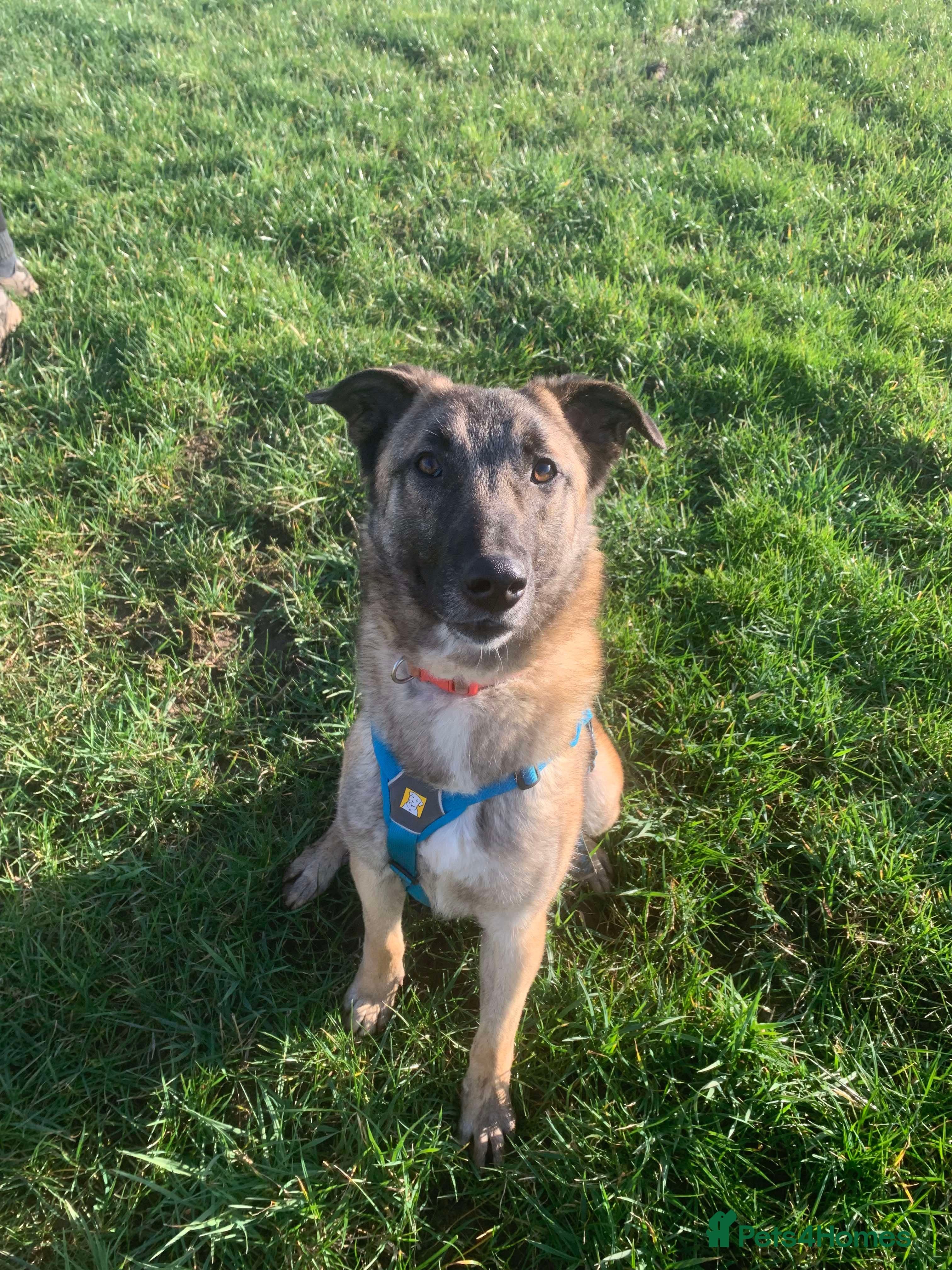 Meet Vera, currently residing in Cheshire photo 35