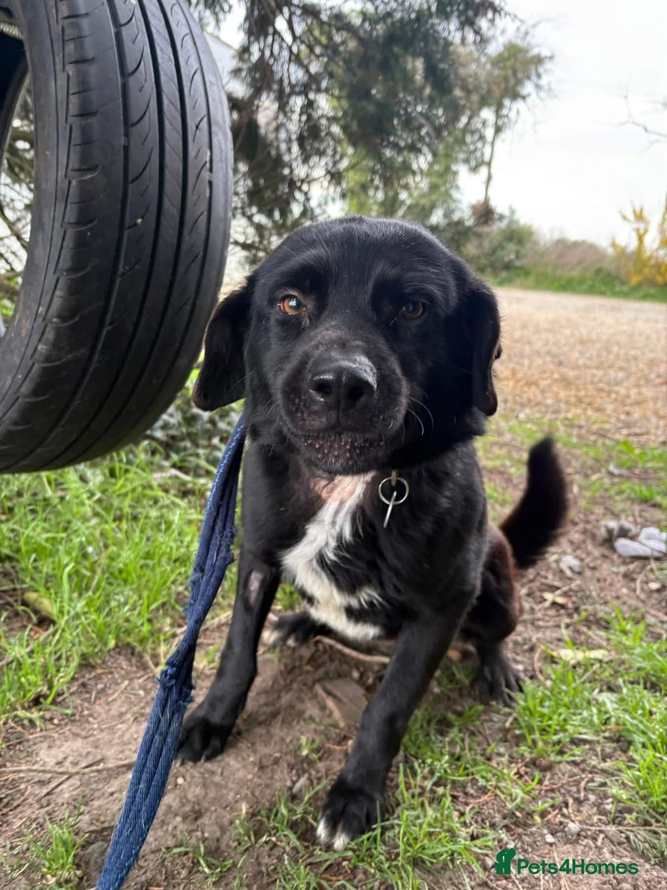 Callum - Norwich Norfolk photo 10
