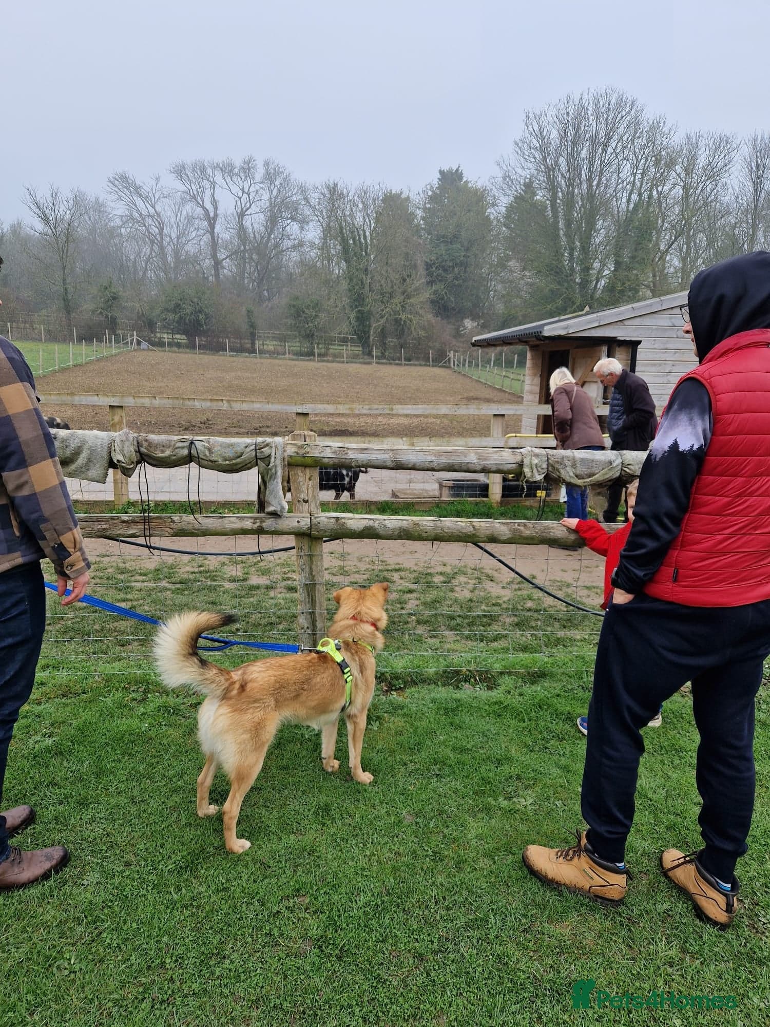 Cactus (yanik) photo 20