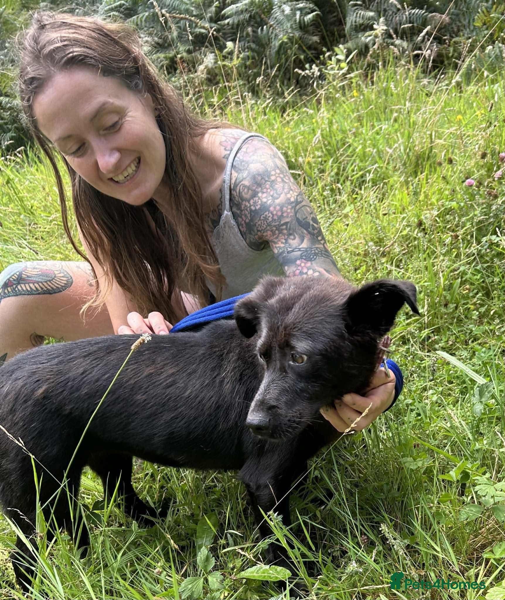 Blossy - Norwich Norfolk photo 4