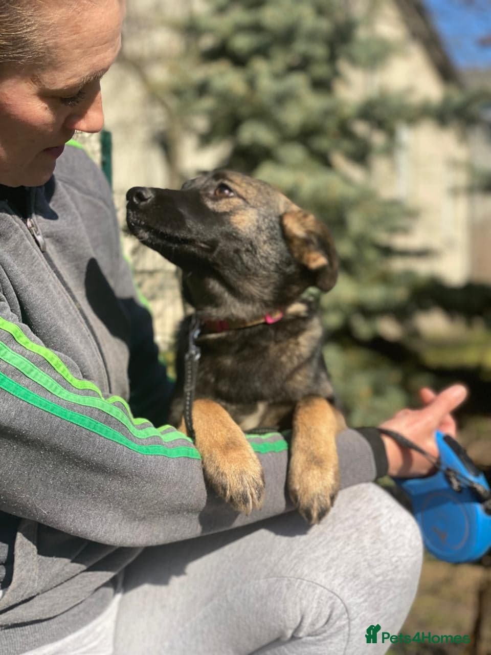 ️🐶 kuba photo 7