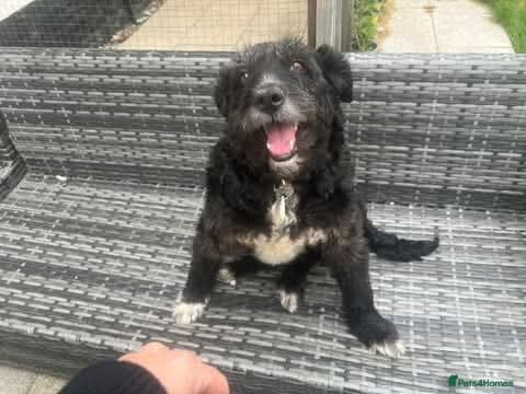 Meet Livi, currently residing in Cheshire photo 5