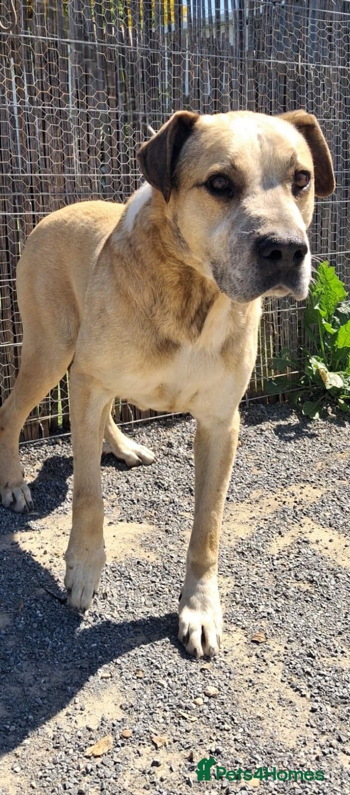 Gem ๐ ๐พ photo 2