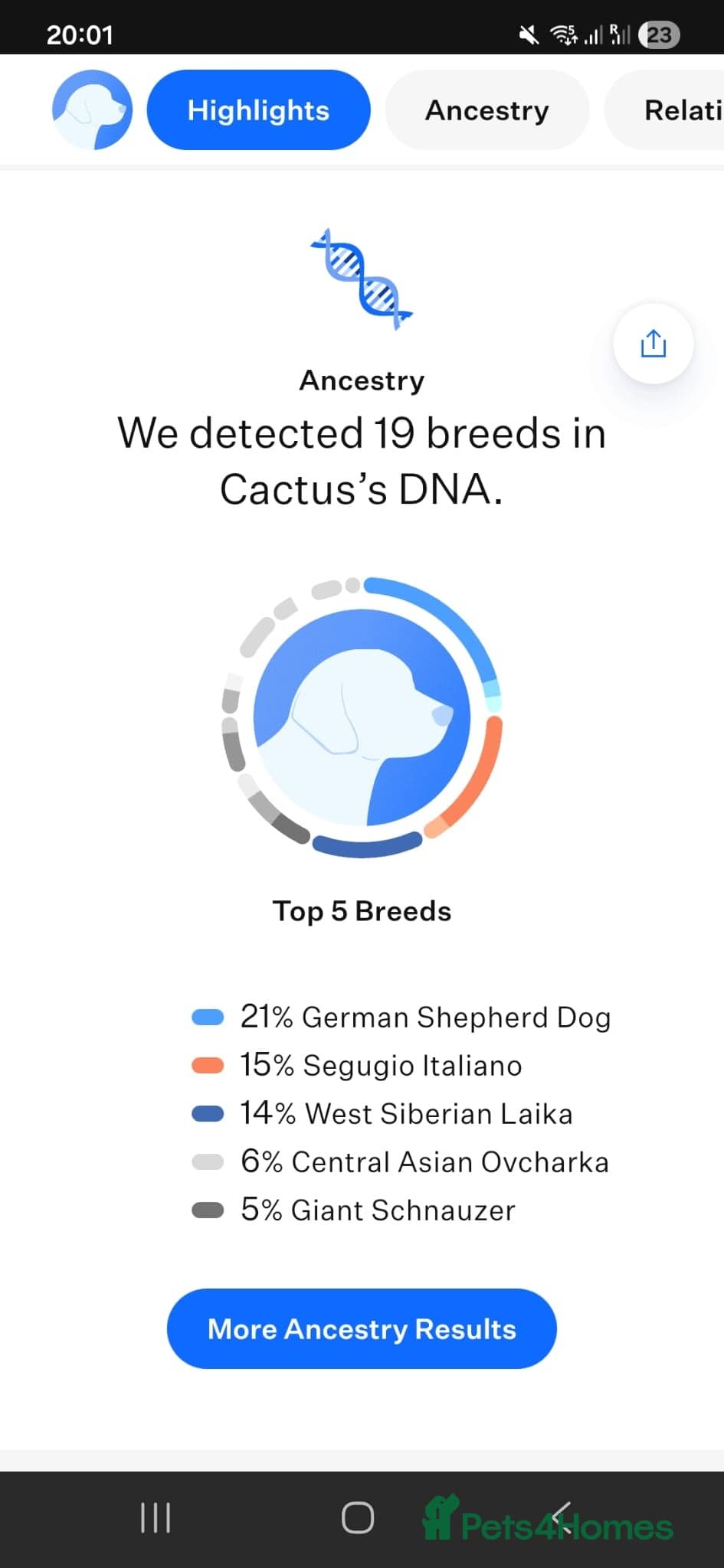 Cactus (yanik) photo 13