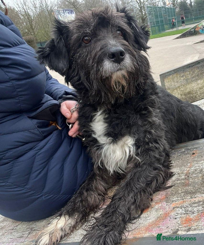 Meet Livi, currently residing in Cheshire photo 2