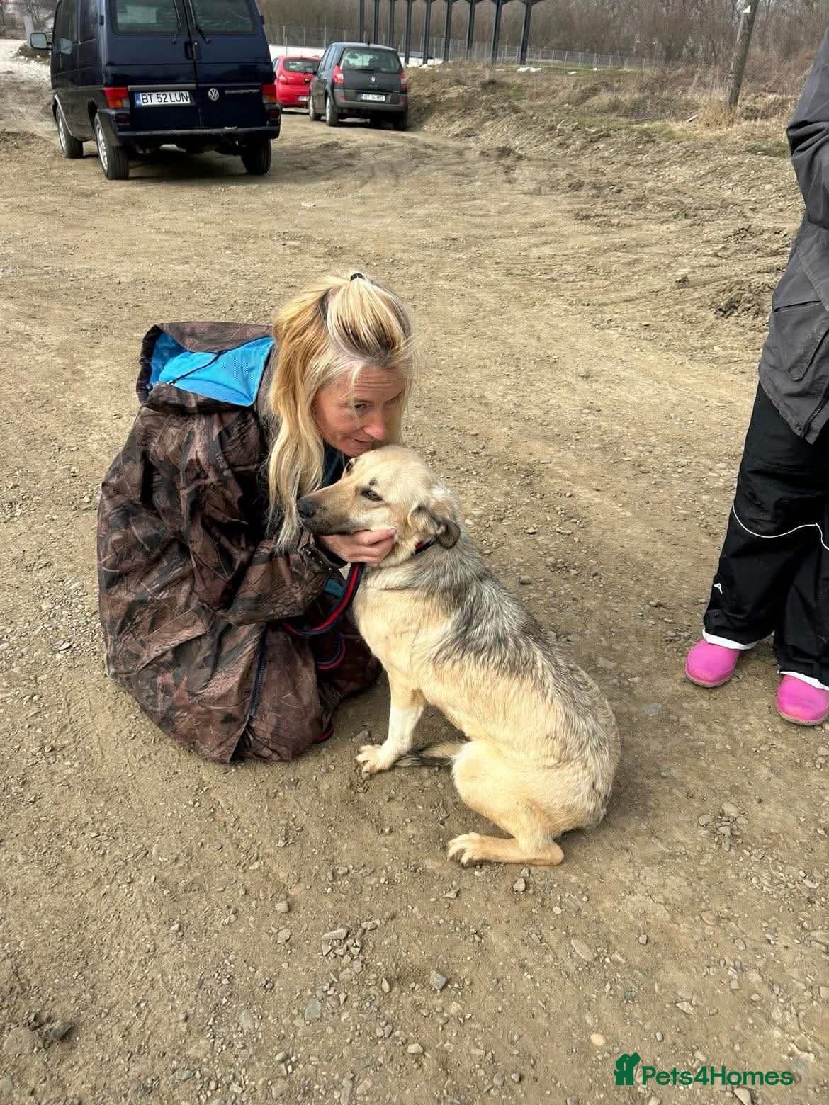 Octavia - Norwich Norfolk photo 4