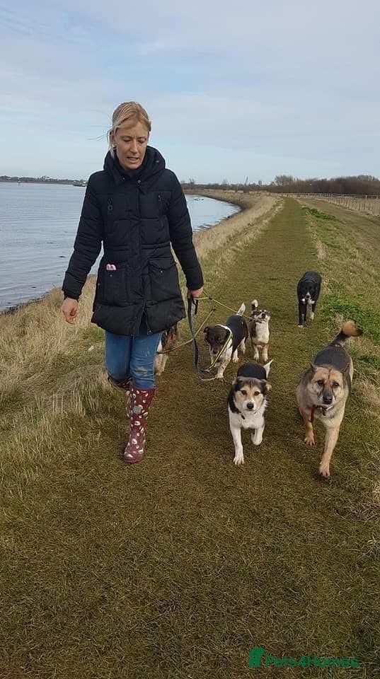 Tara - Norwich Norfolk photo 13