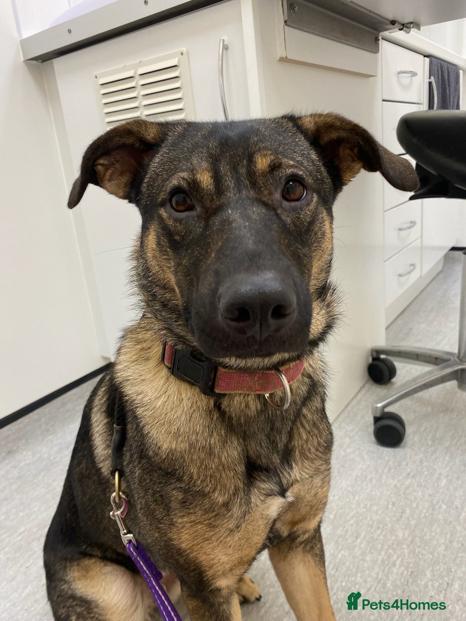 Luna ๐พ๐ photo 12