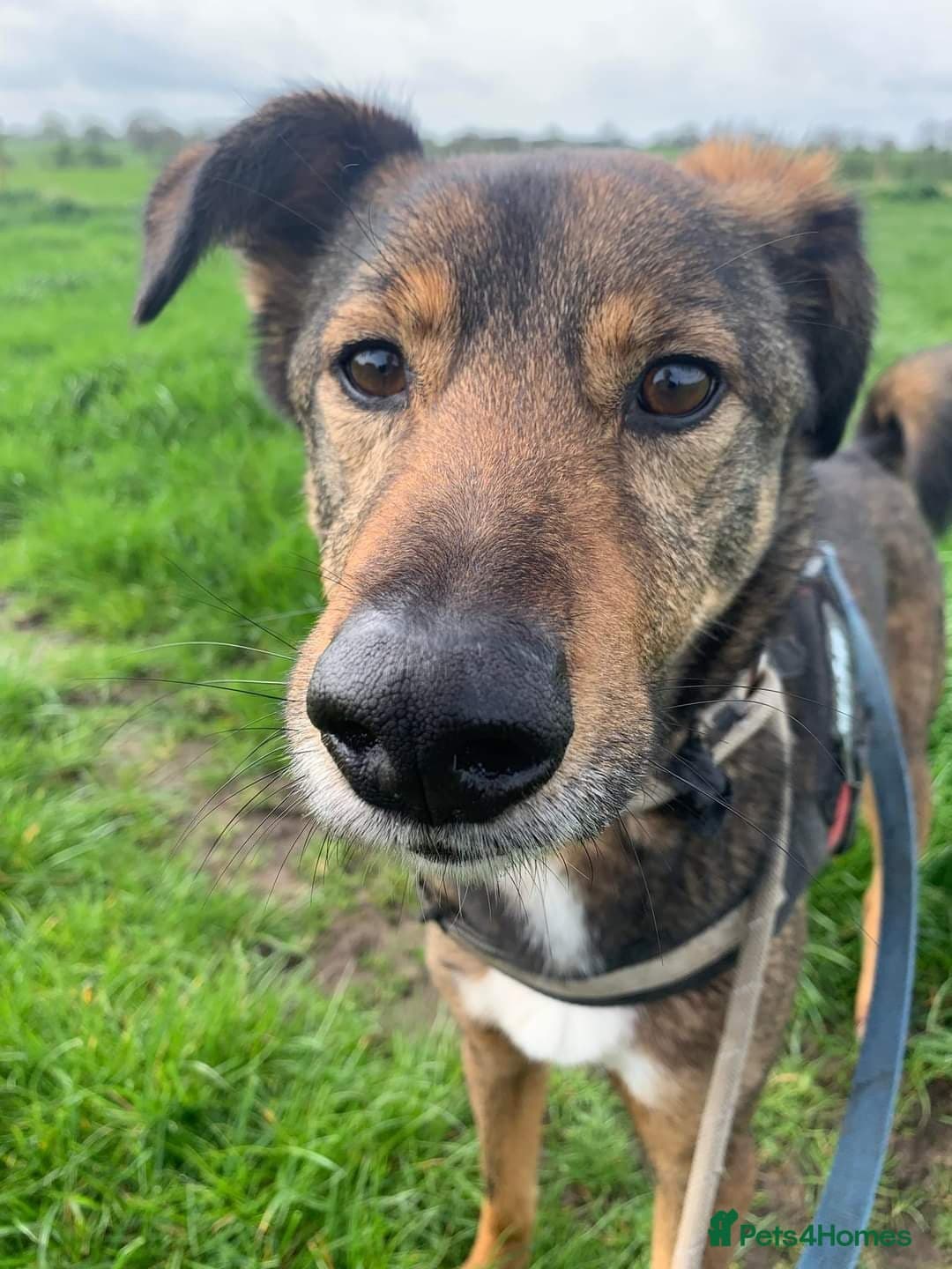 Meet Jake, currently residing in Cheshire photo 20