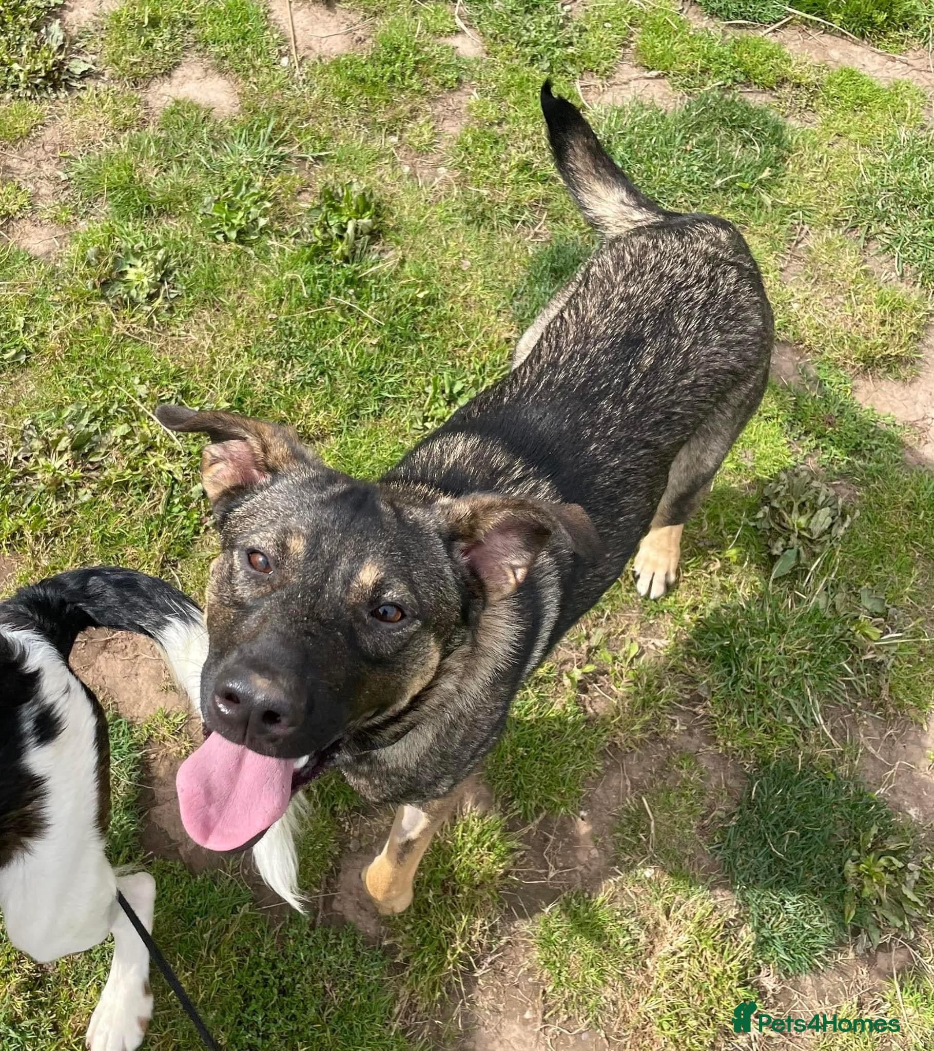 Luna ๐พ๐ photo 15