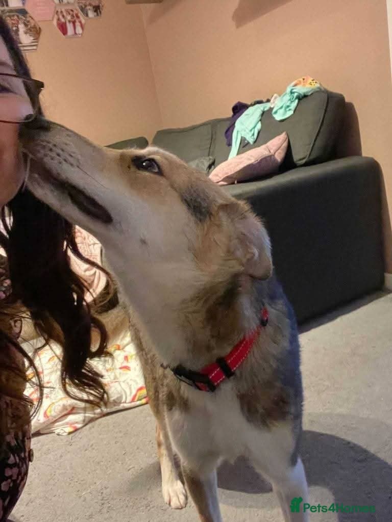 Meet Mary,currently residing in Canterbury photo 5