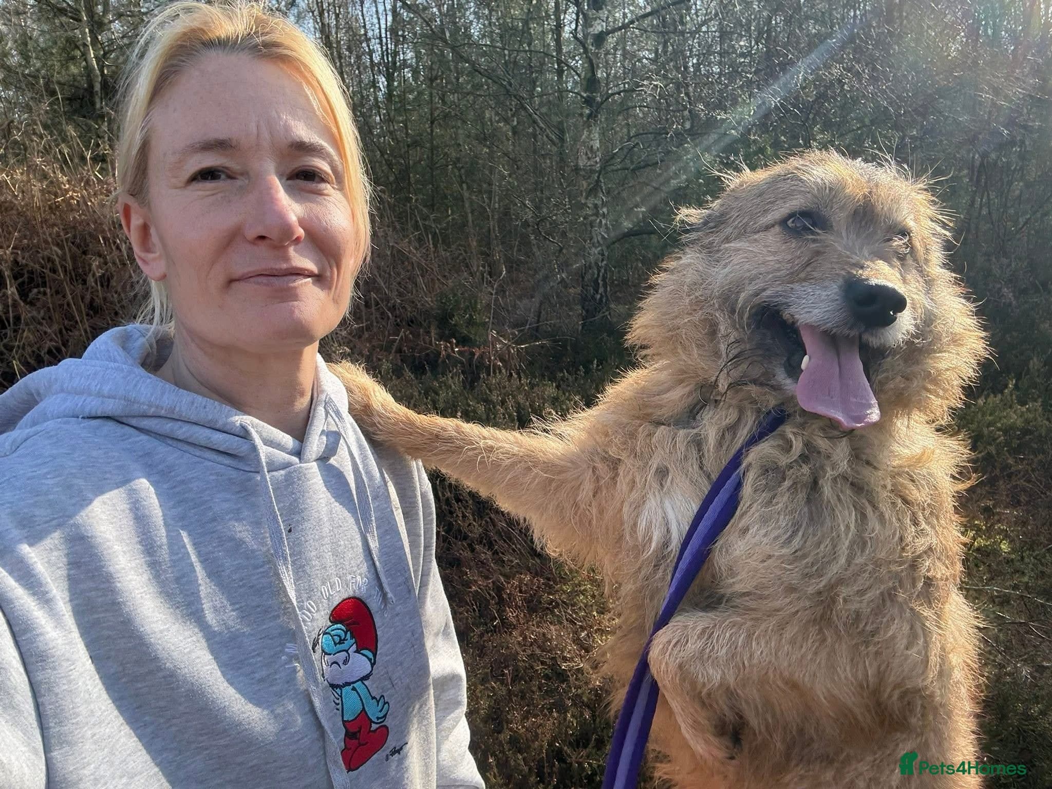 Jack - Watton Norfolk photo 12