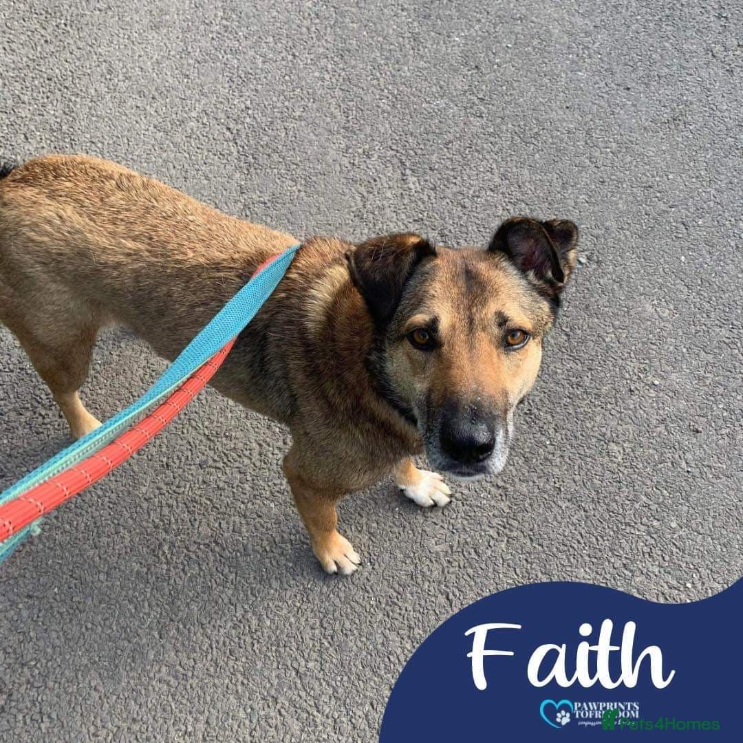 Meet Faith, currently residing in Cheshire photo 3