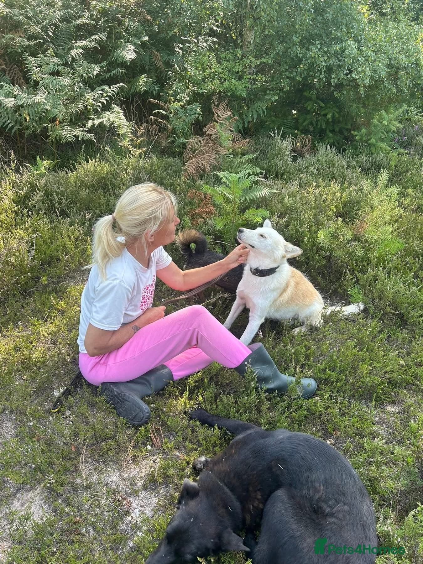 Song - Norwich Norfolk photo 19