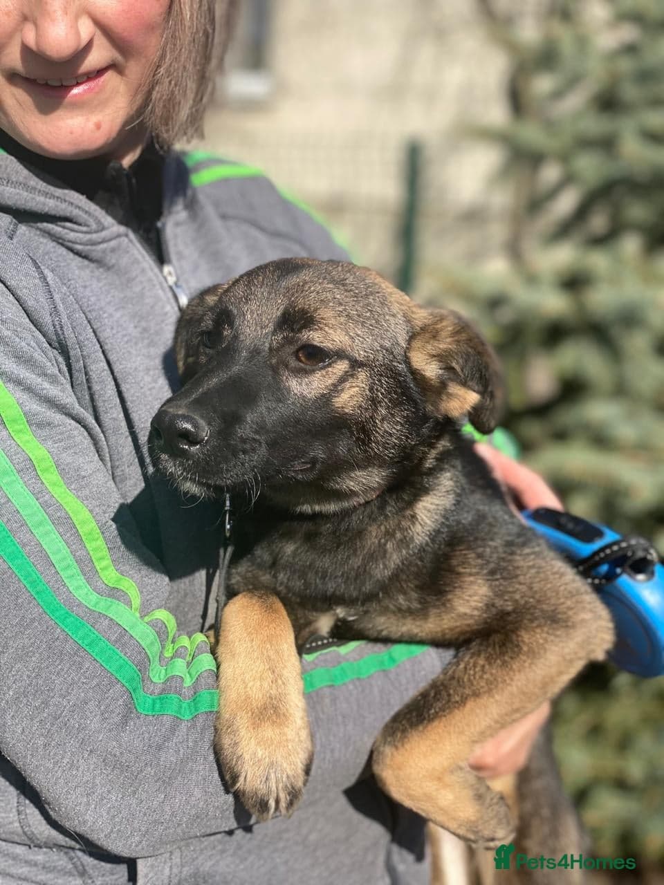 ️🐶 kuba photo 3