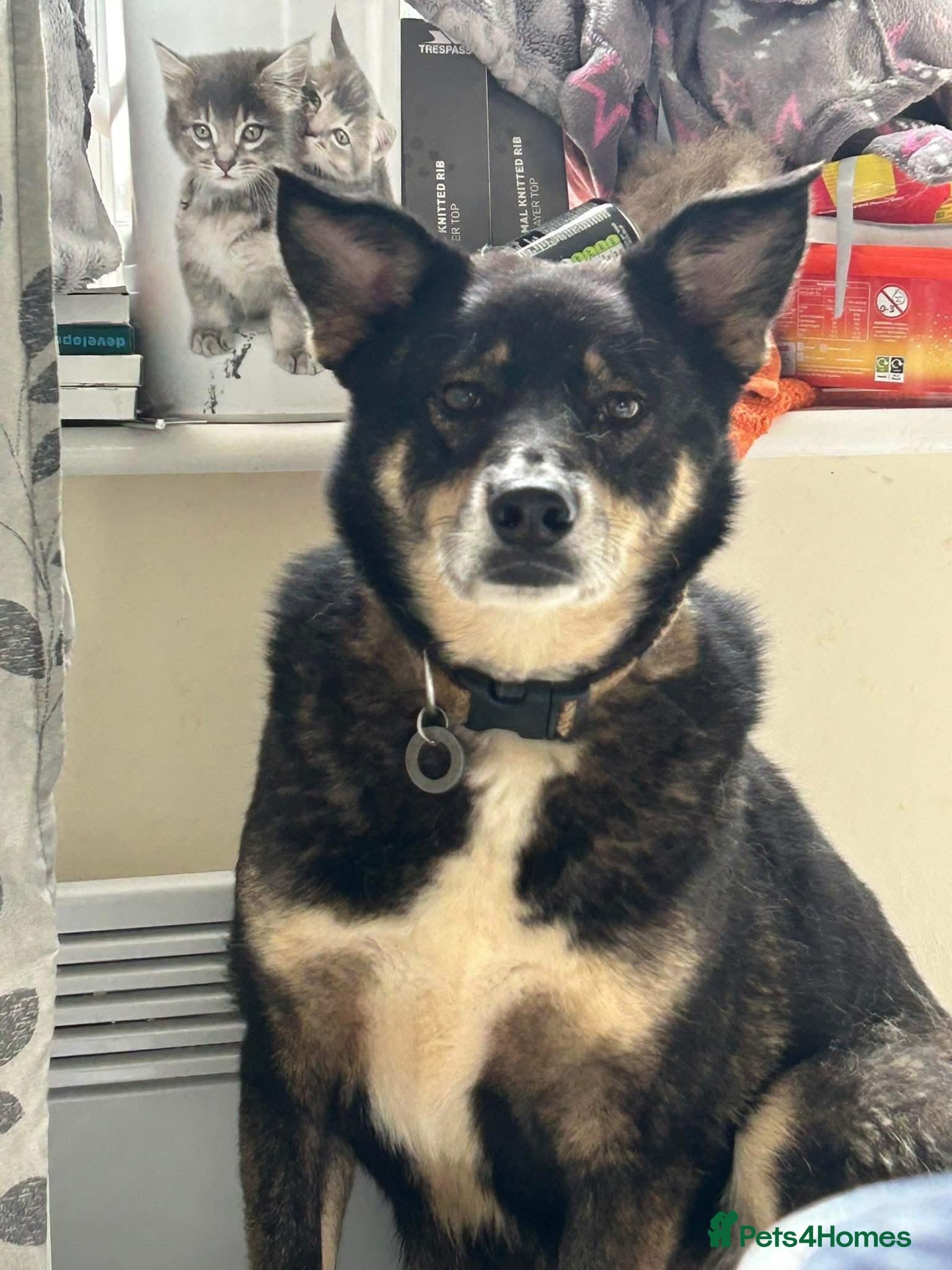 Ben - Norwich Norfolk photo 2