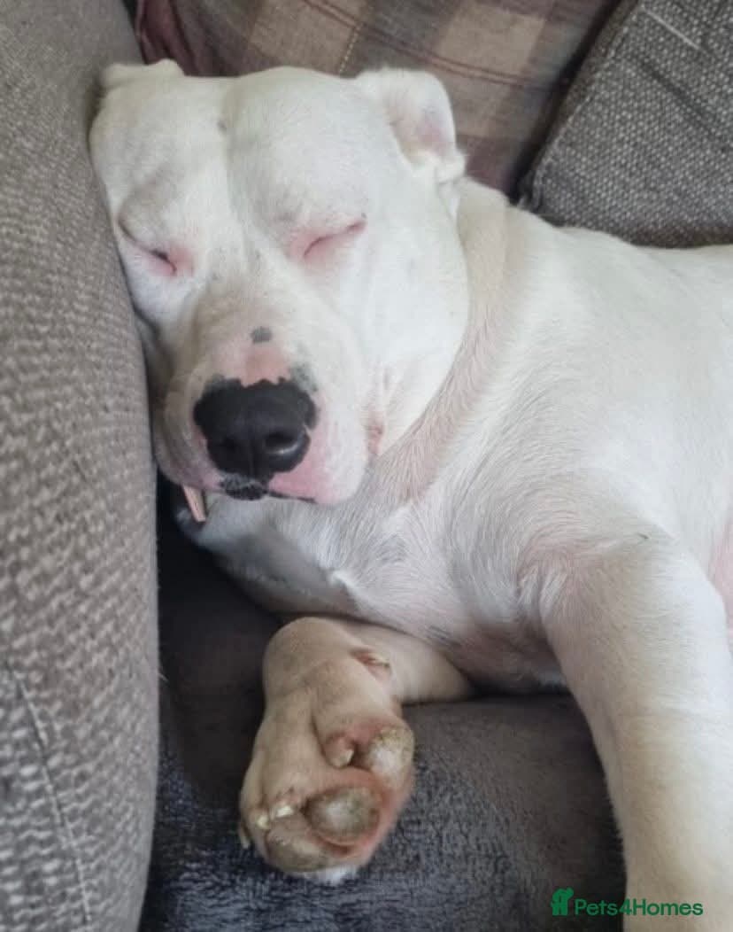 Meet Aria, currently residing in Ormskirk photo 5