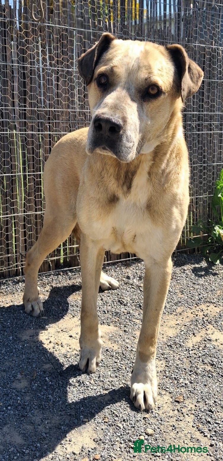 Gem ๐ ๐พ photo 11