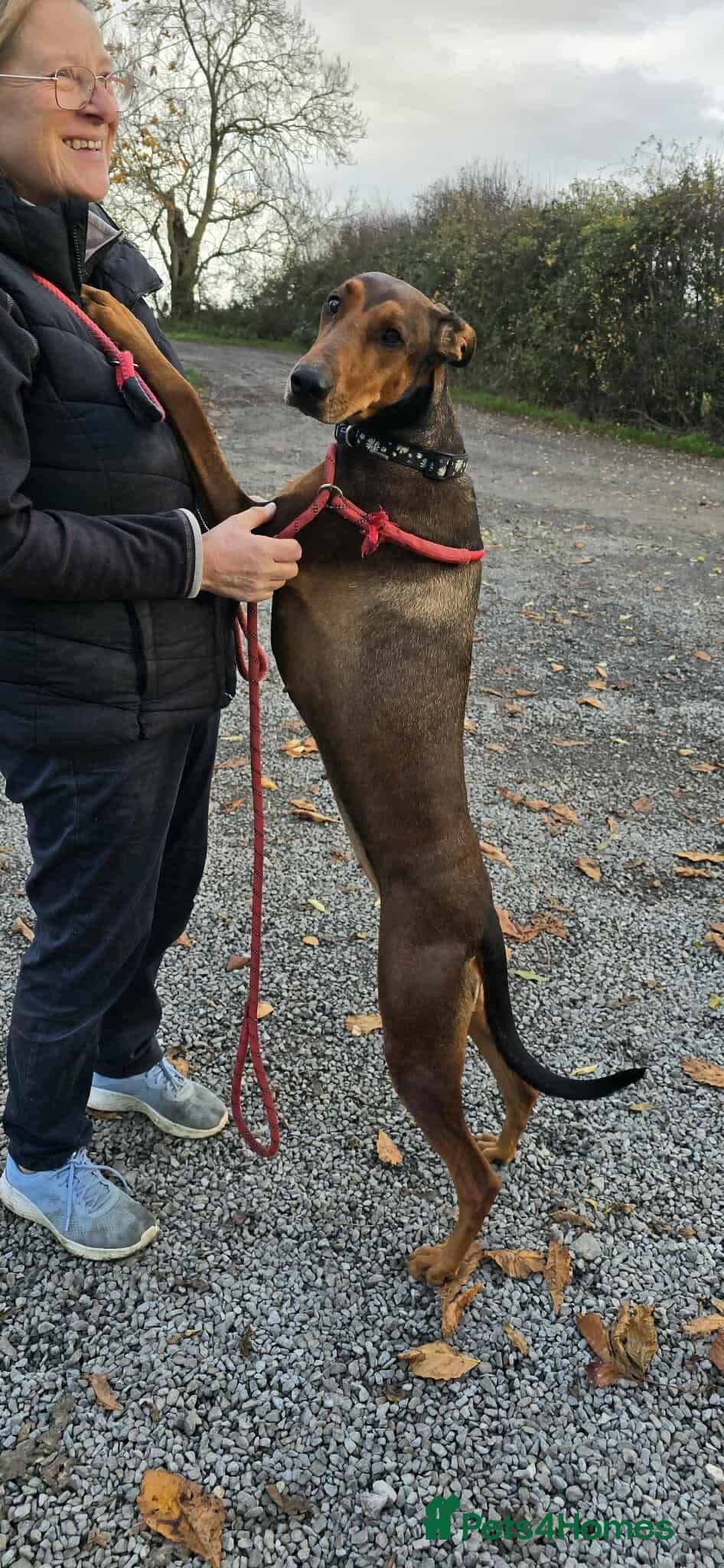 BONNIE ๐ Playful, Loving Girl photo 11