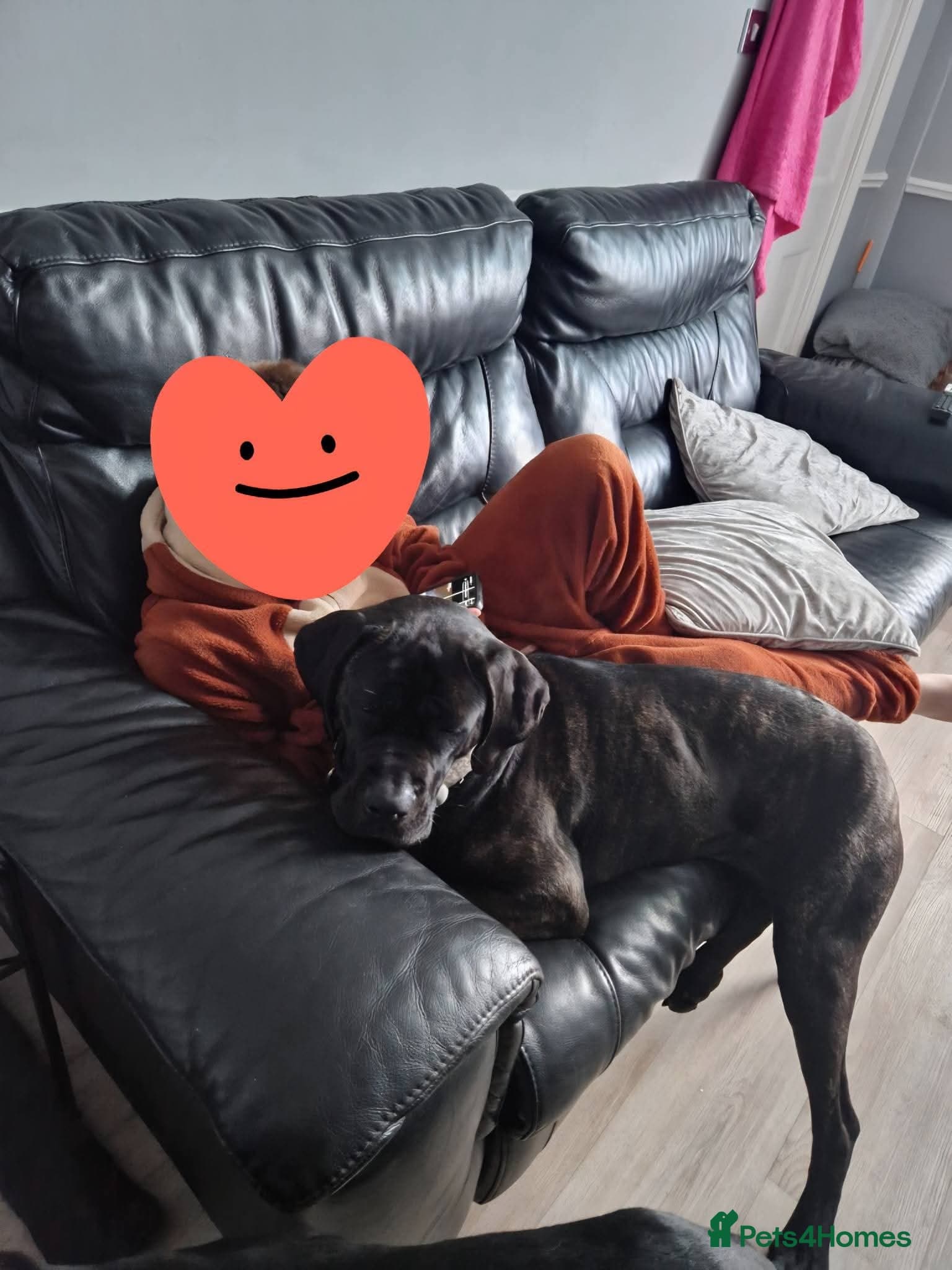 Meet Lila, currently residing in Norfolk photo 5