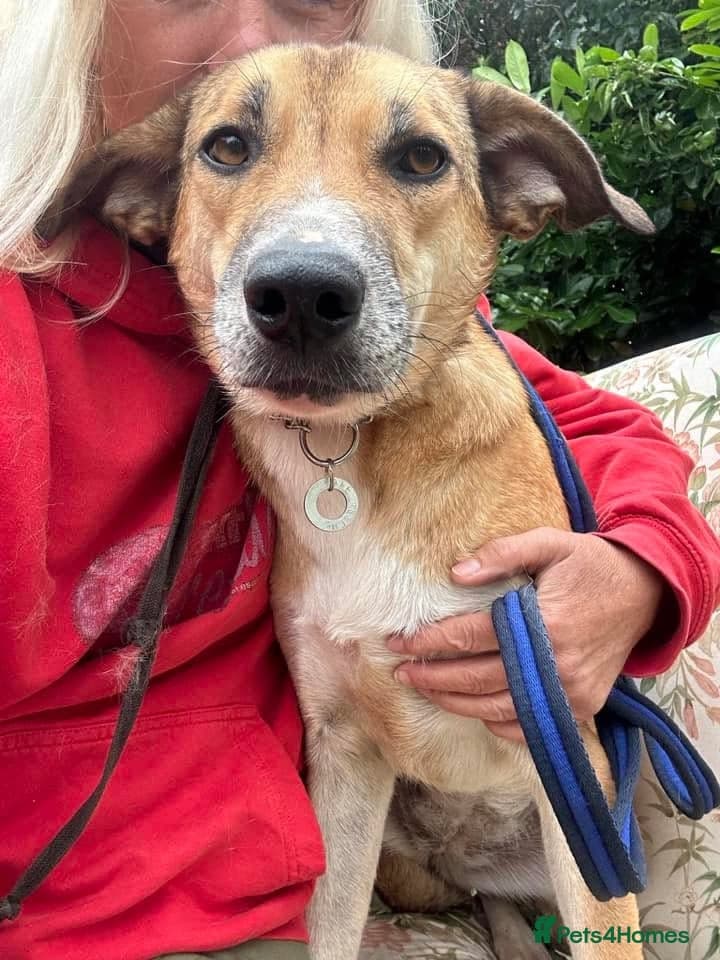 Sara - Norwich Norfolk photo 13