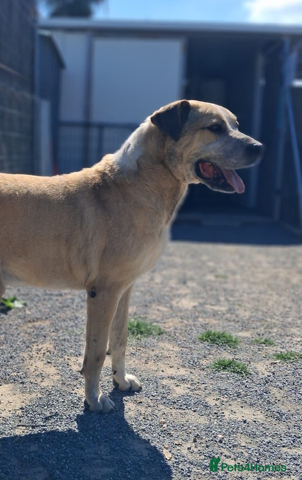 Gem ๐ ๐พ photo 10