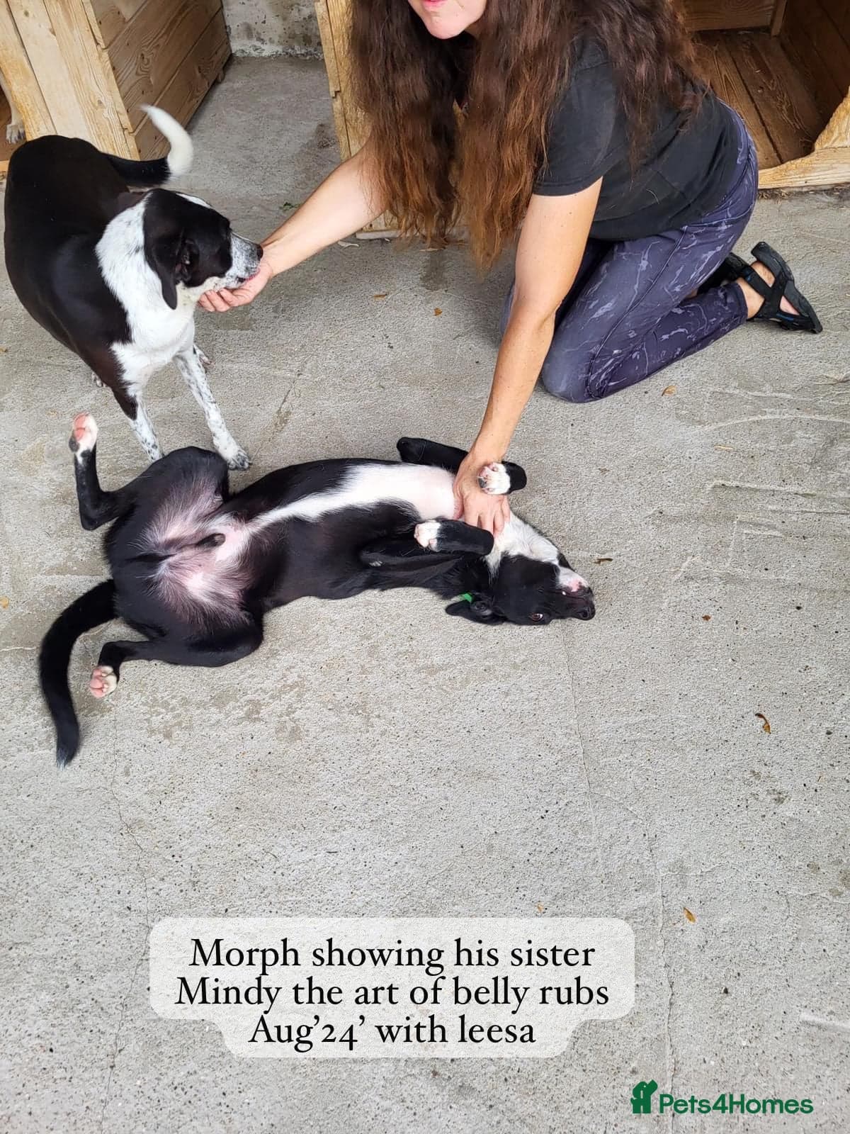 Pretty Mindy. Reserved STC. photo 18