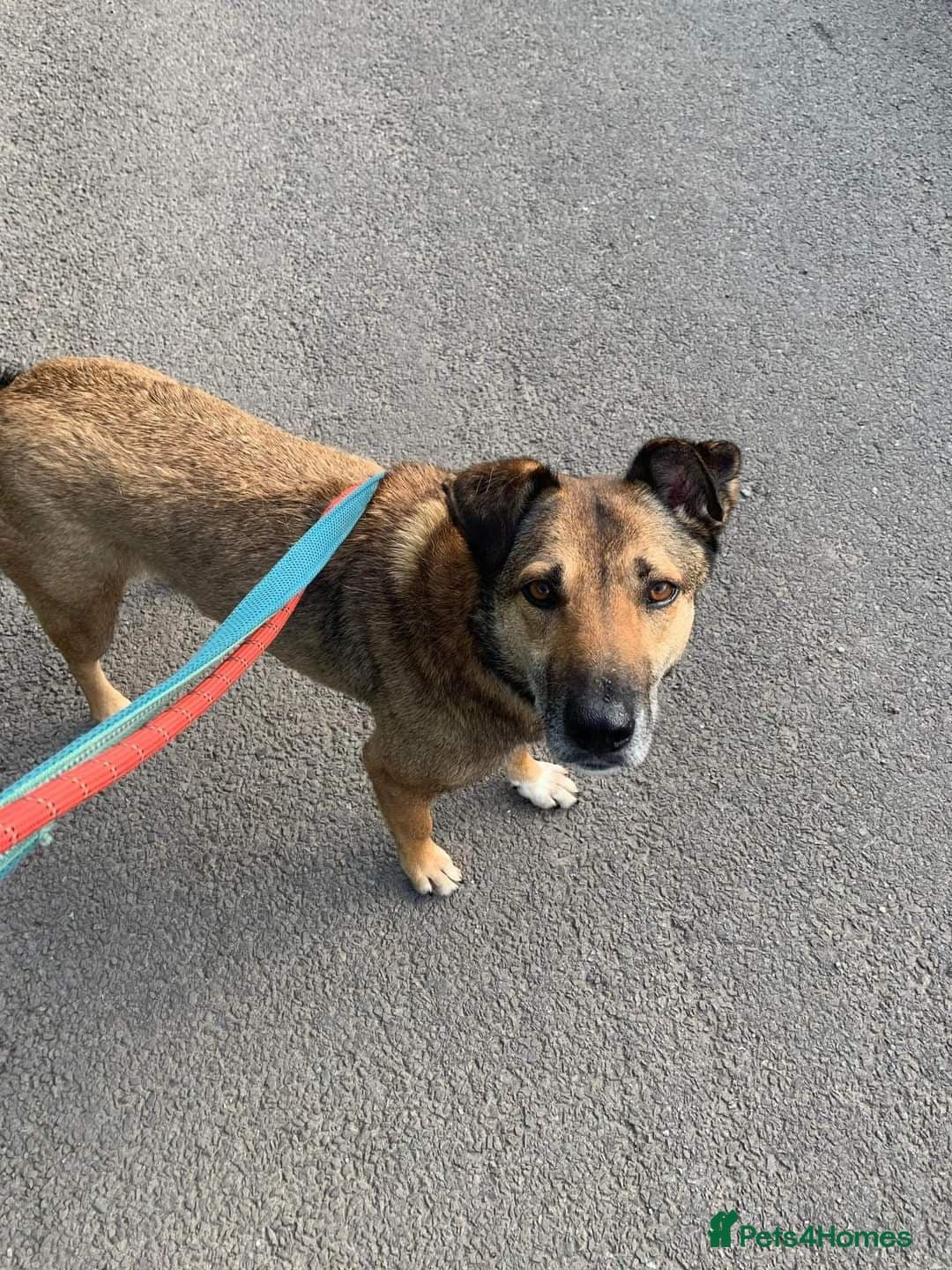 Meet Faith, currently residing in Cheshire photo 8