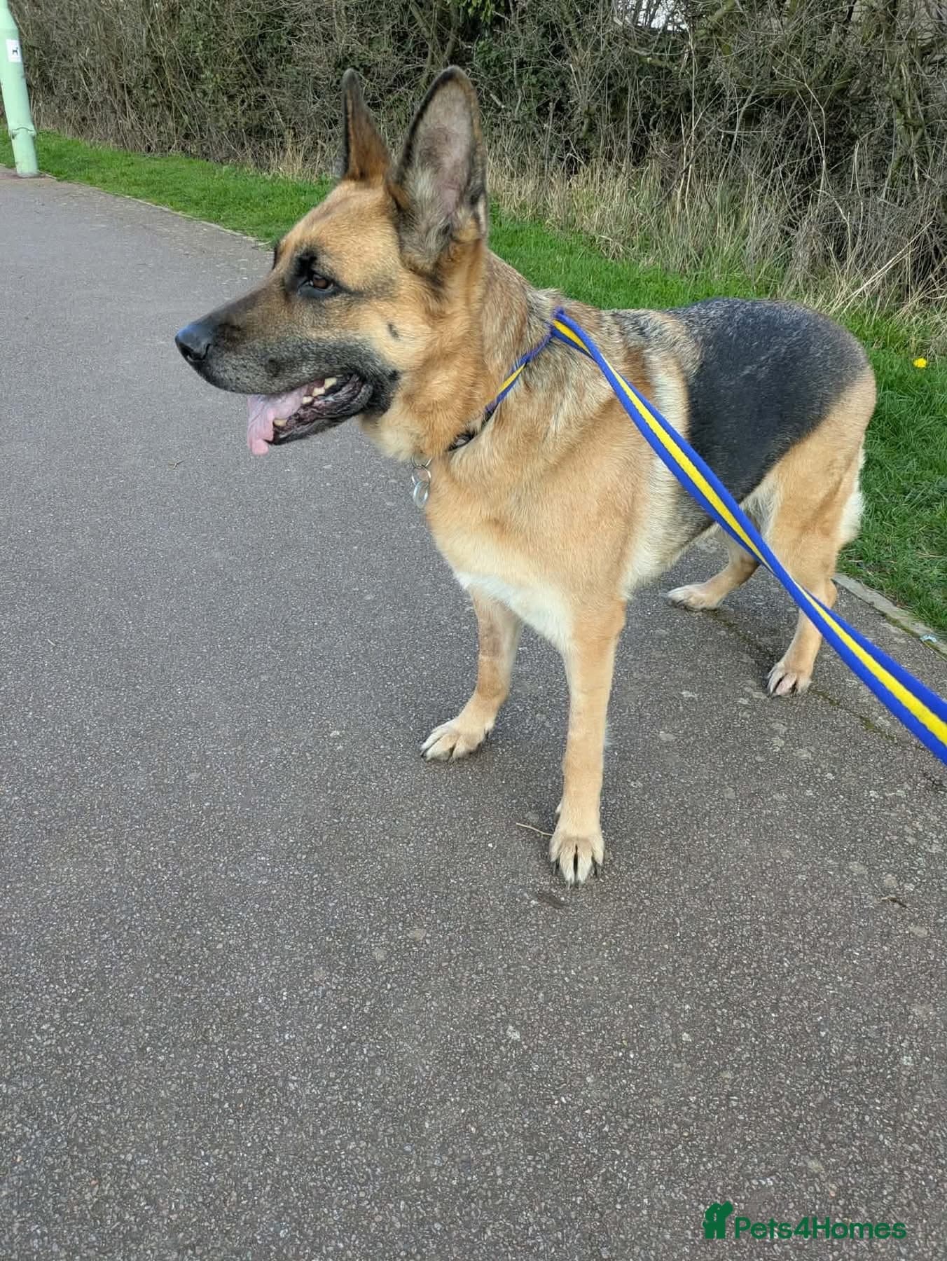 Amy - Norwich Norfolk photo 6